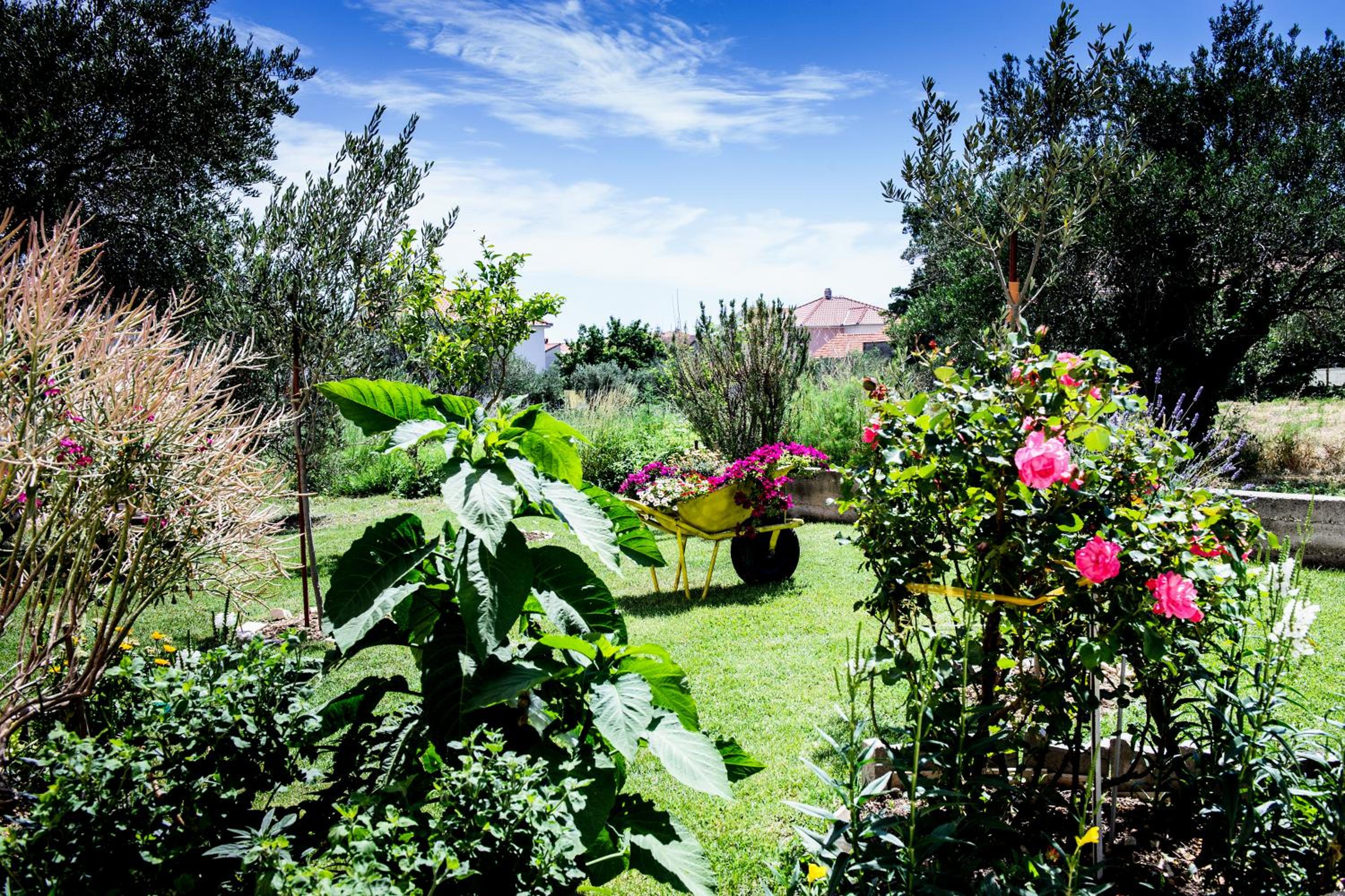 Apartman Sunny Vacay
