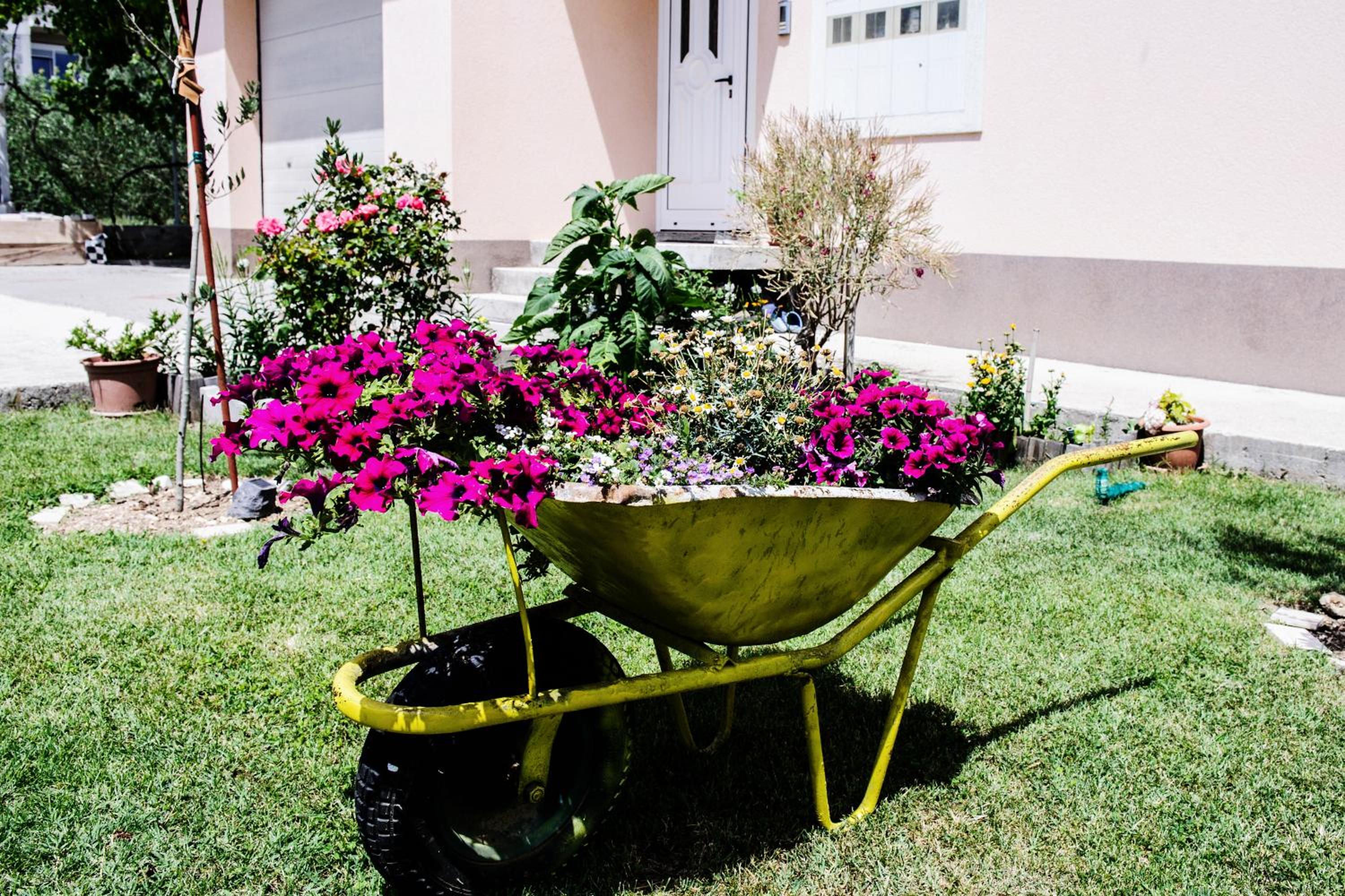 Apartman Sunny Vacay