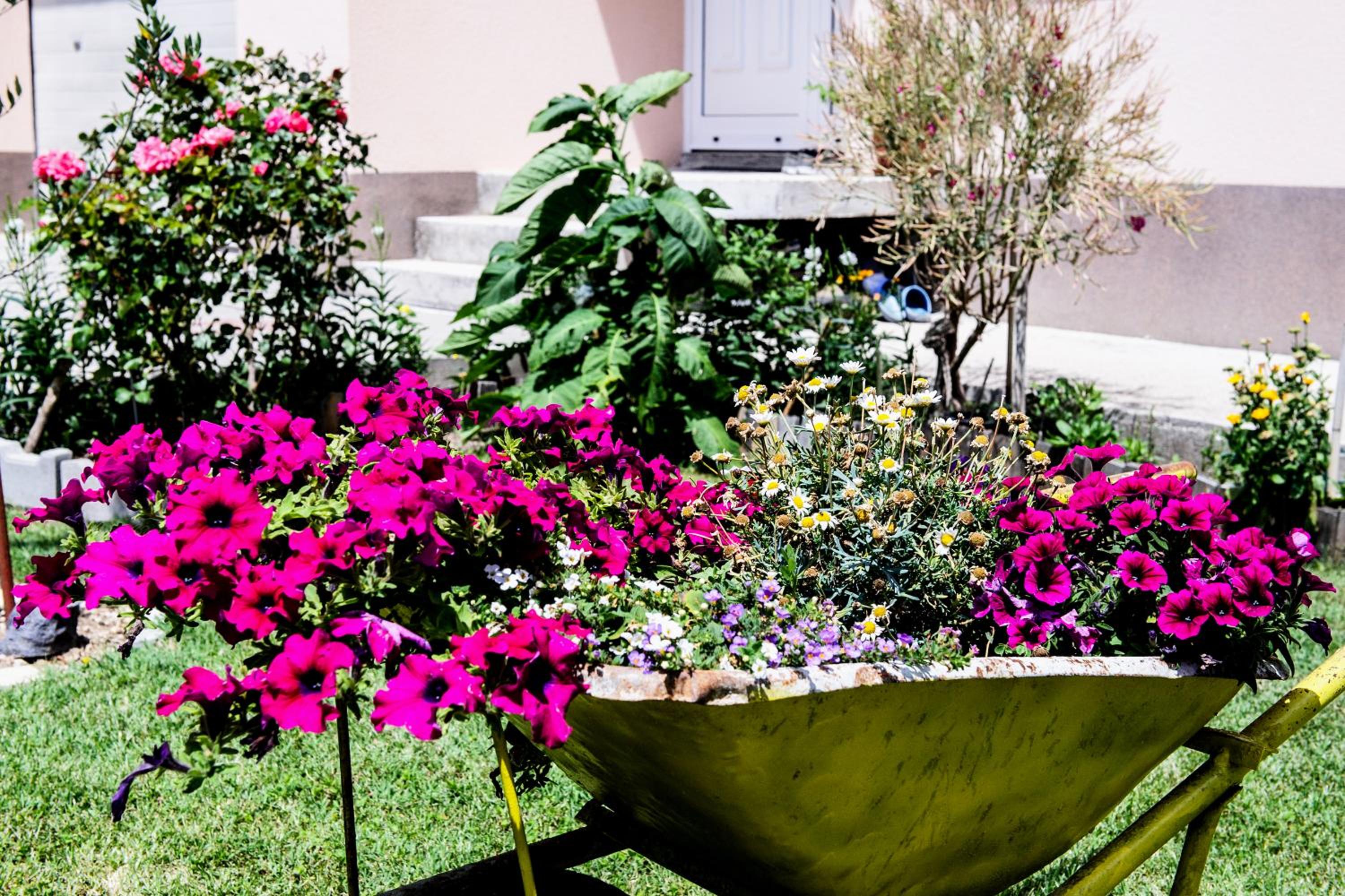 Apartman Sunny Vacay