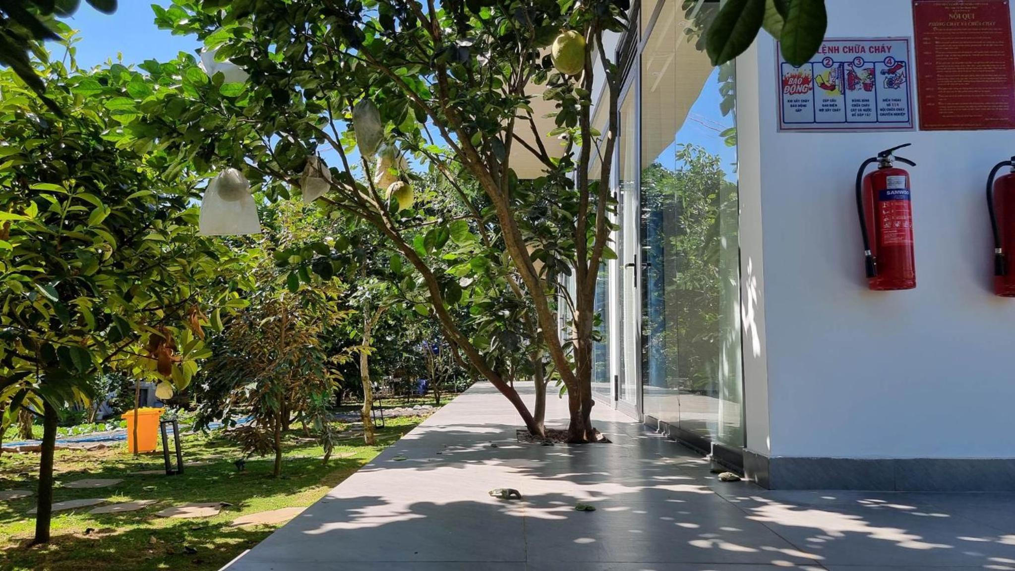 Homestay Vườn Trái Cây Nhiệt Đới VÔ ƯU GARDEN view 2