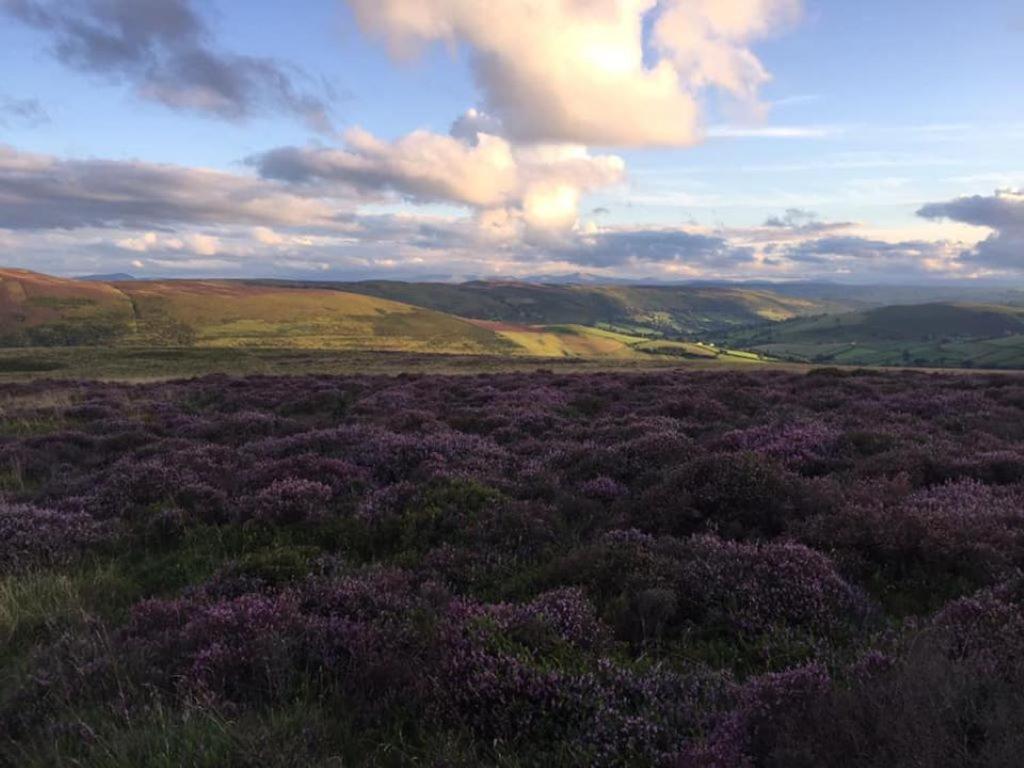 Nant-Y-Glyn