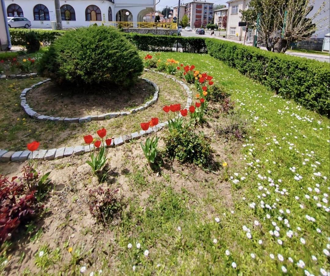 Apartman Mali Raj Rudnik II view 5