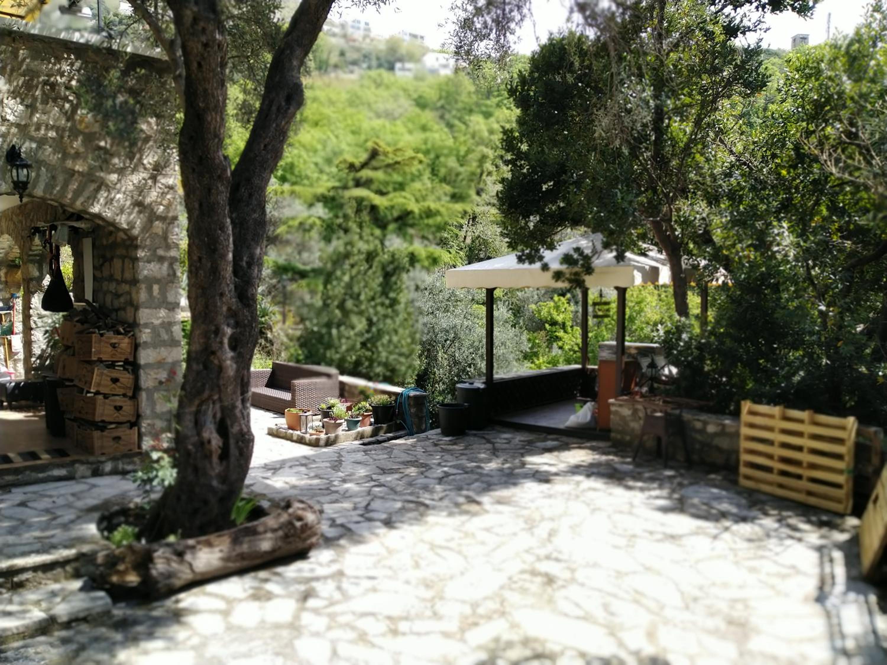 Photo 22