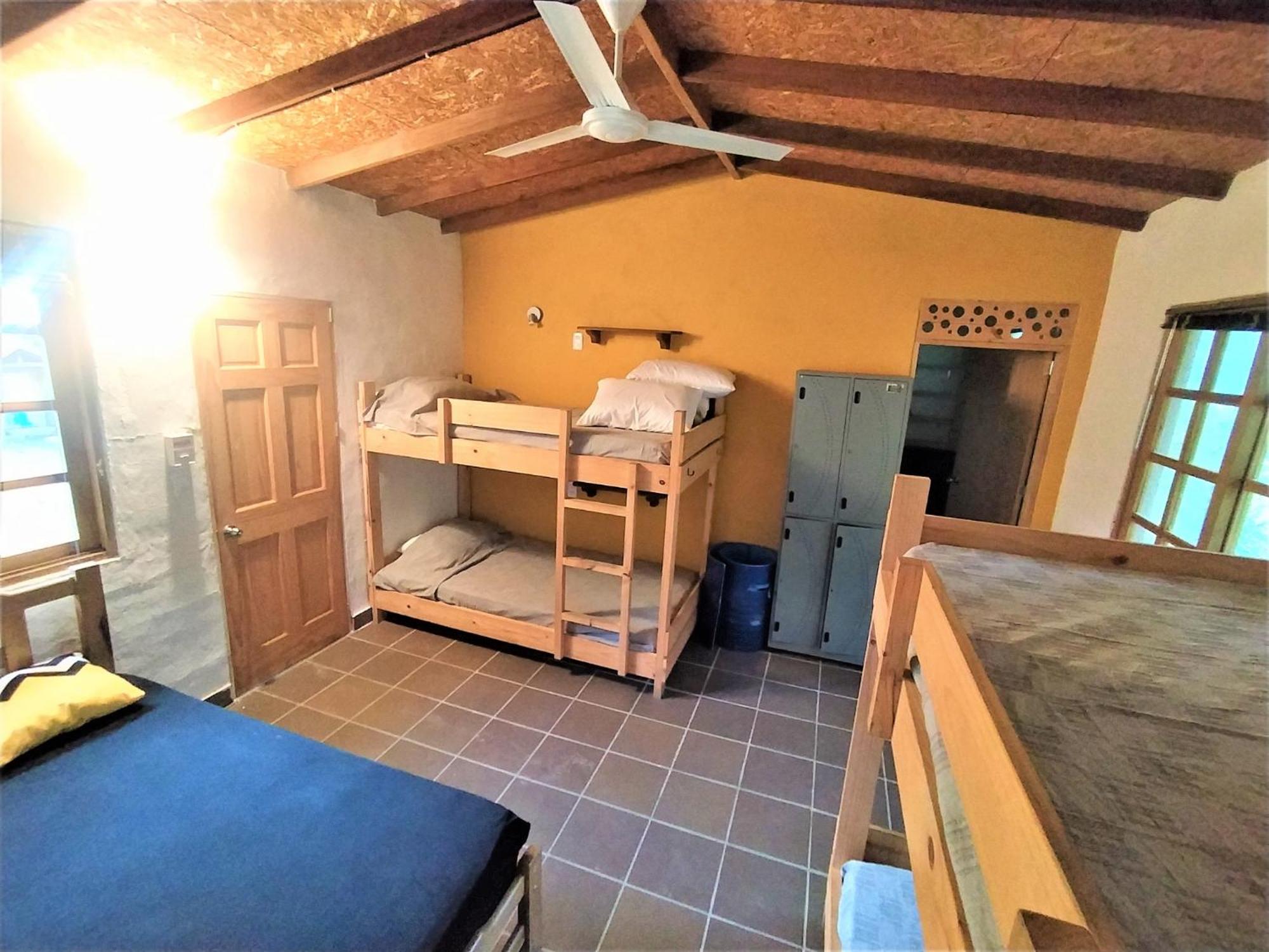 Photo 43