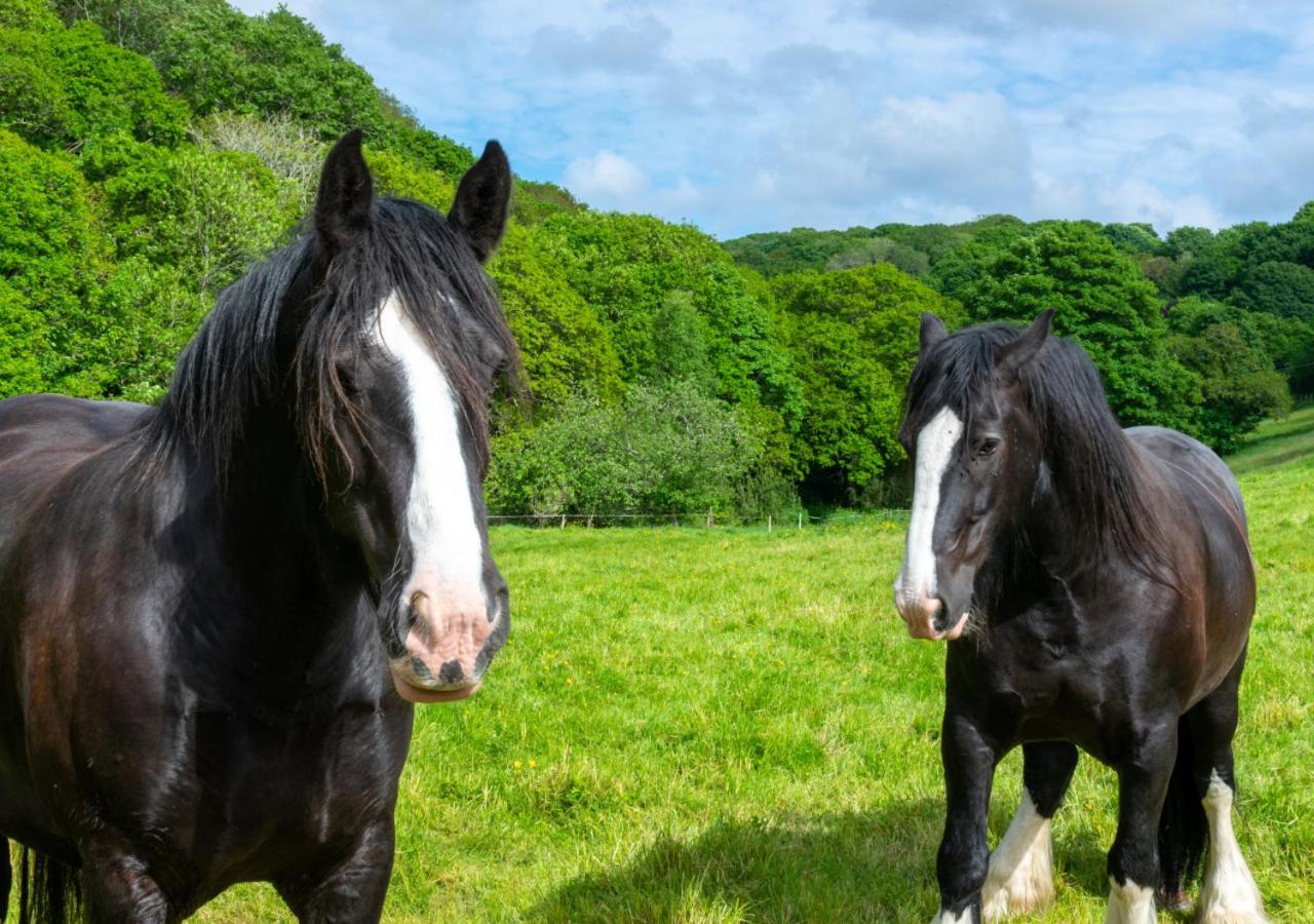 Clippity Clop