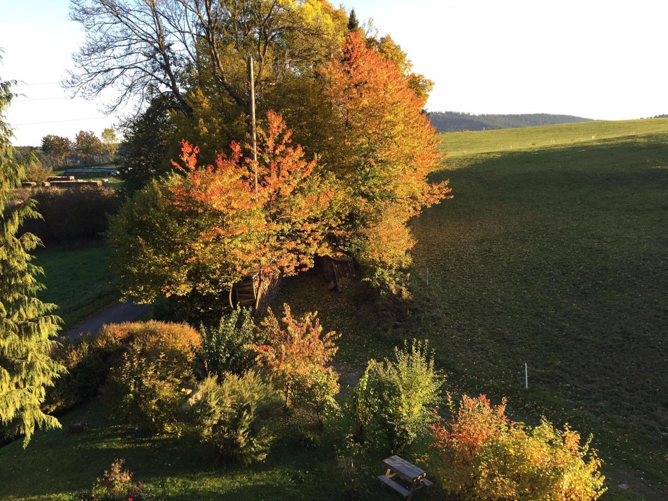 Ferienwohnung im Hambach