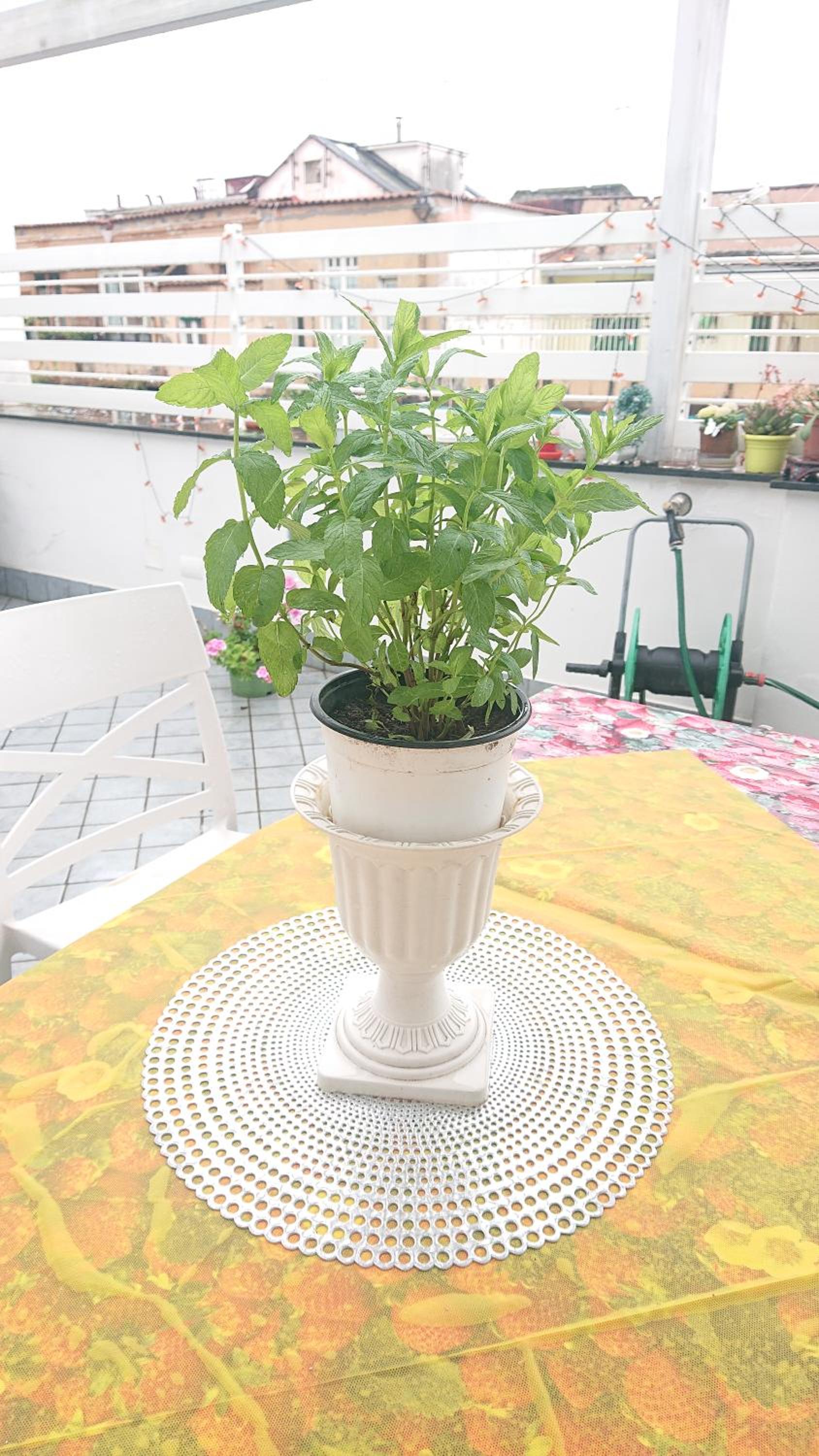 Sky-Terrace in Central Station, 3 bedrooms