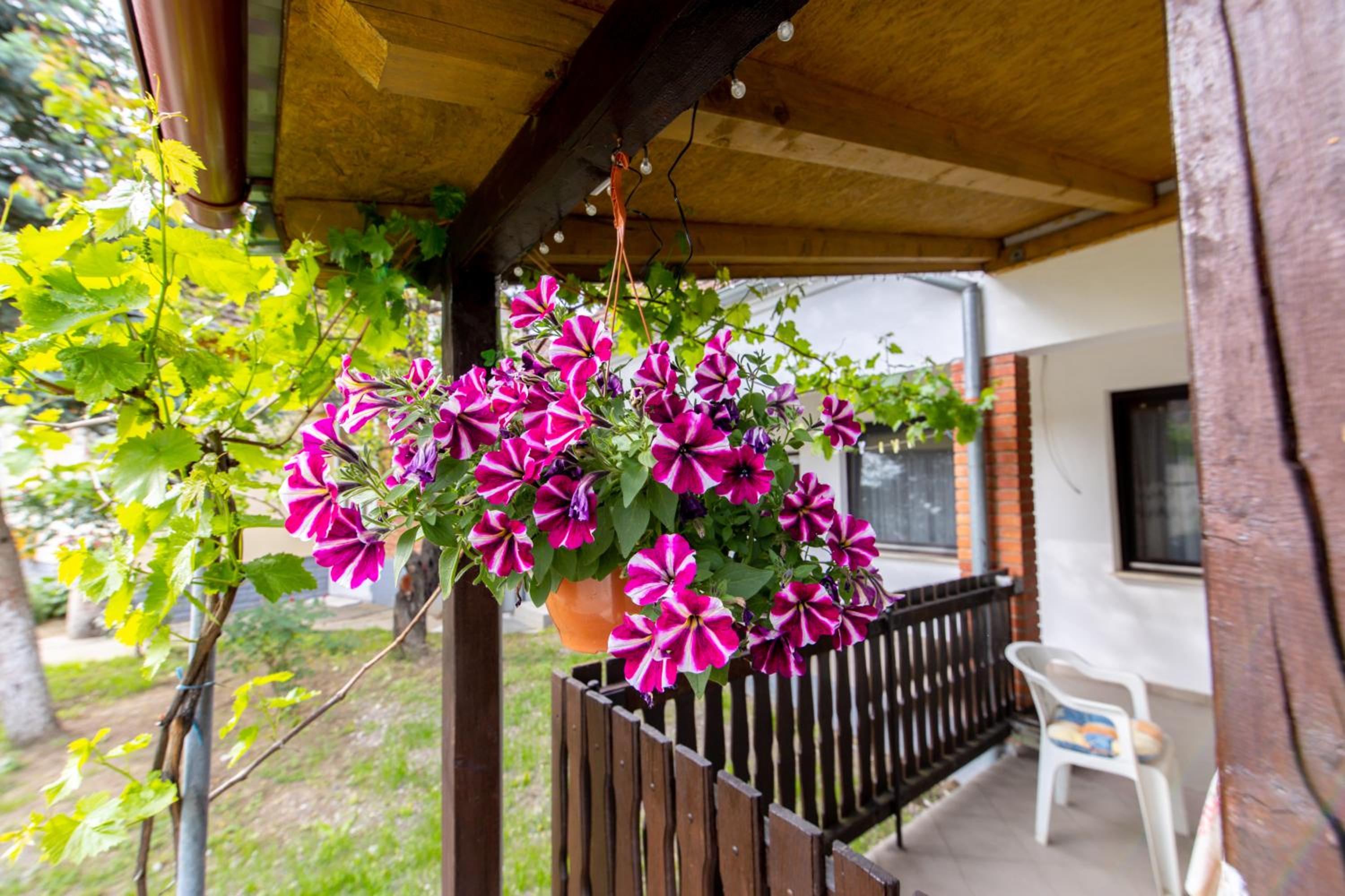 Apartman Marta i soba Maja