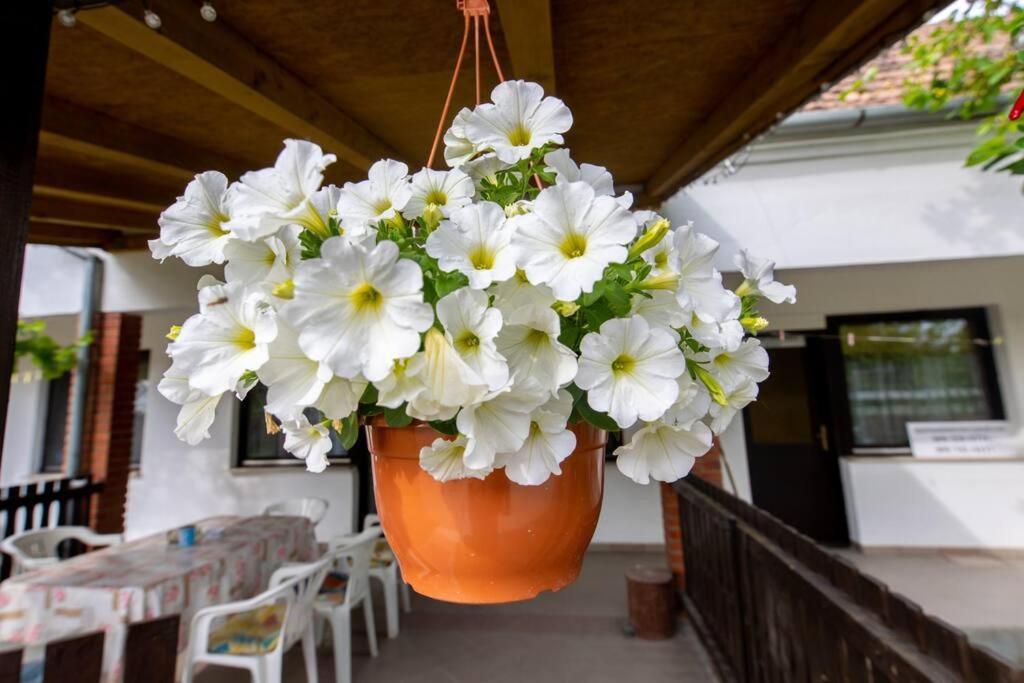 Studio apartman Ivana