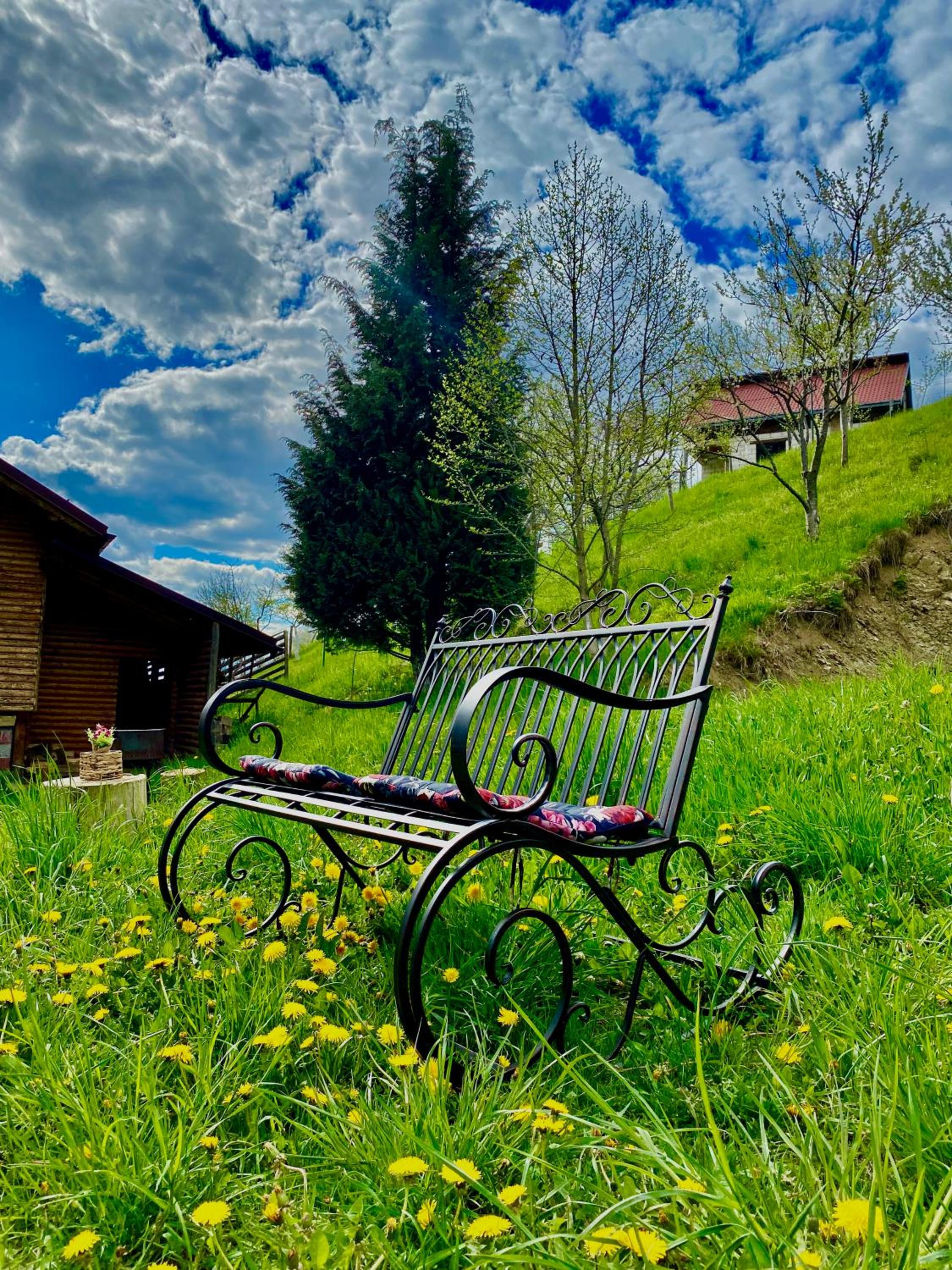 Premium mountain view chalet view 3