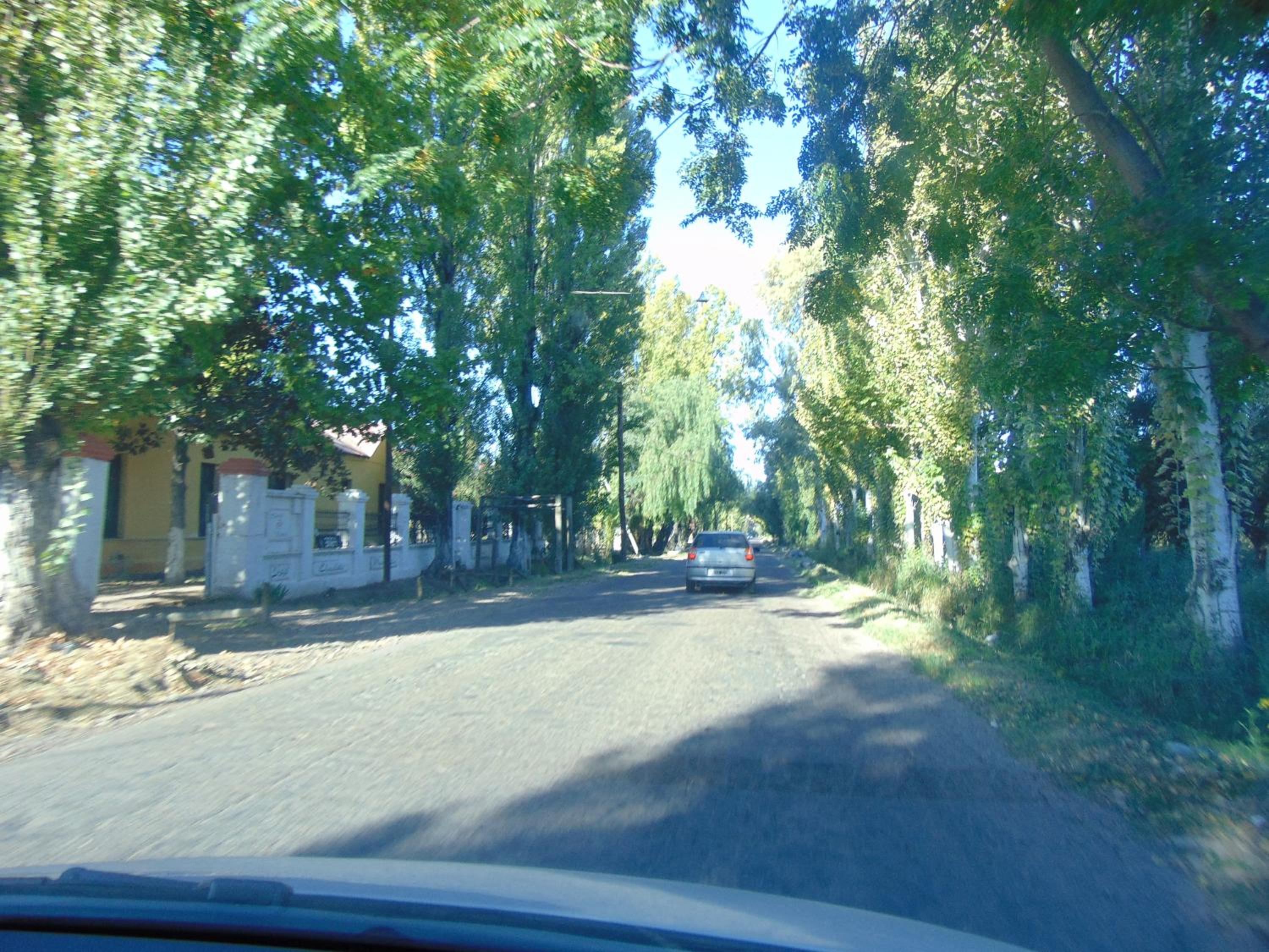 Photo 33