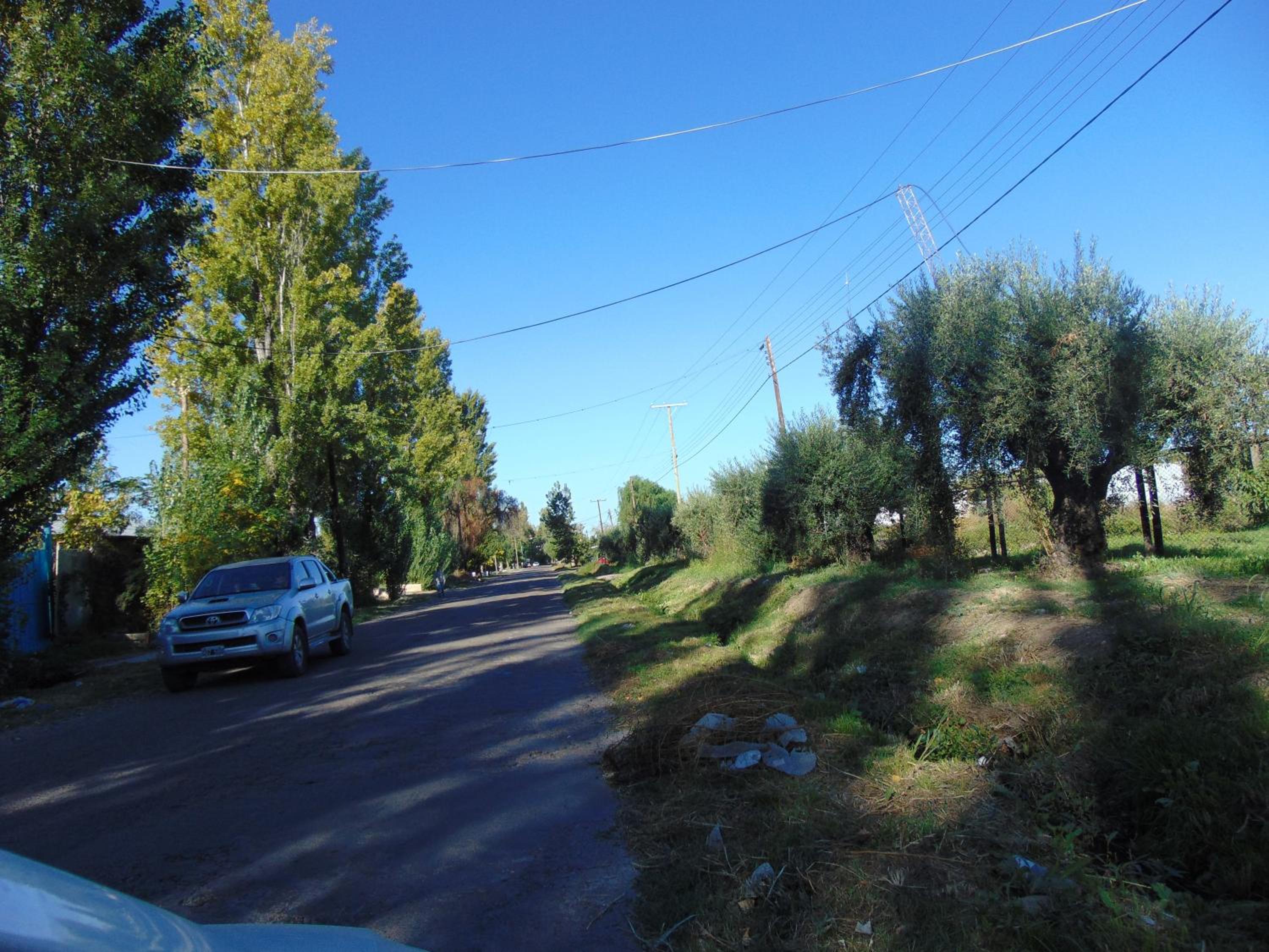 Photo 32