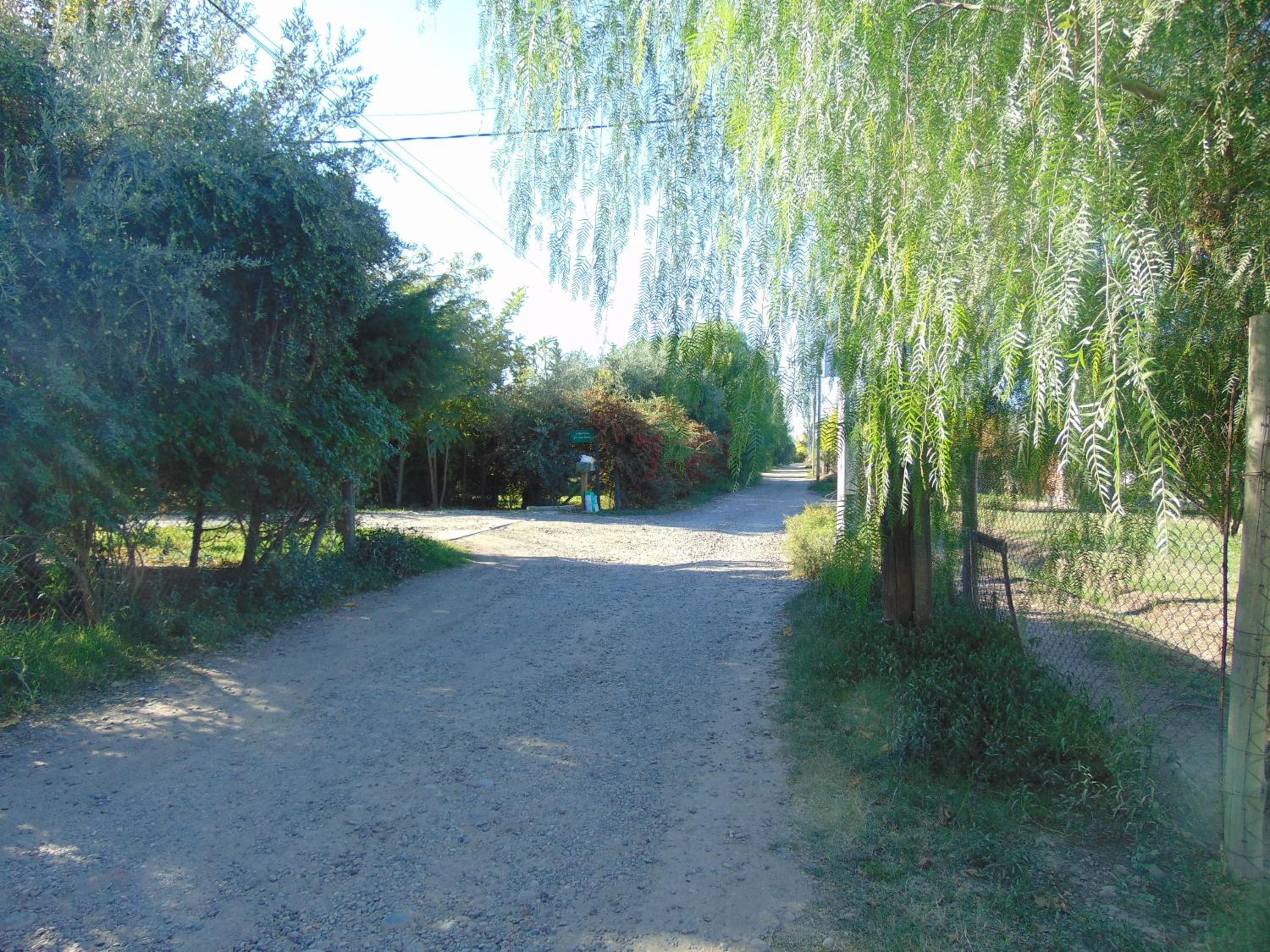 Photo 30