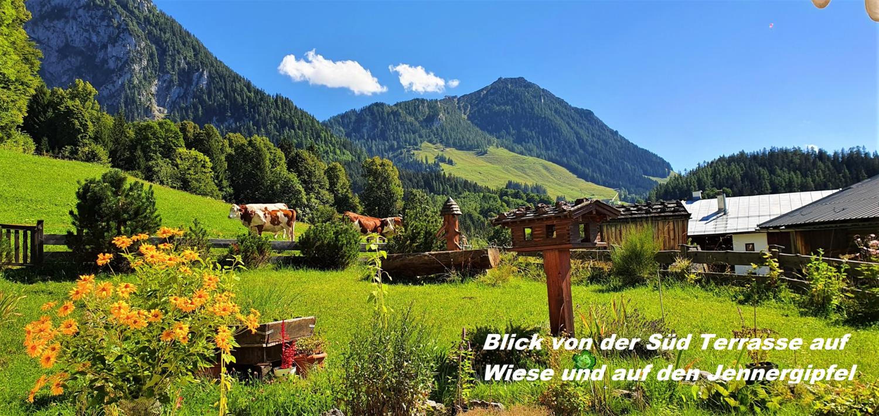 Ferienhaus hoch oben mit Alpen Panorama Königssee- Nichtraucherdomizil