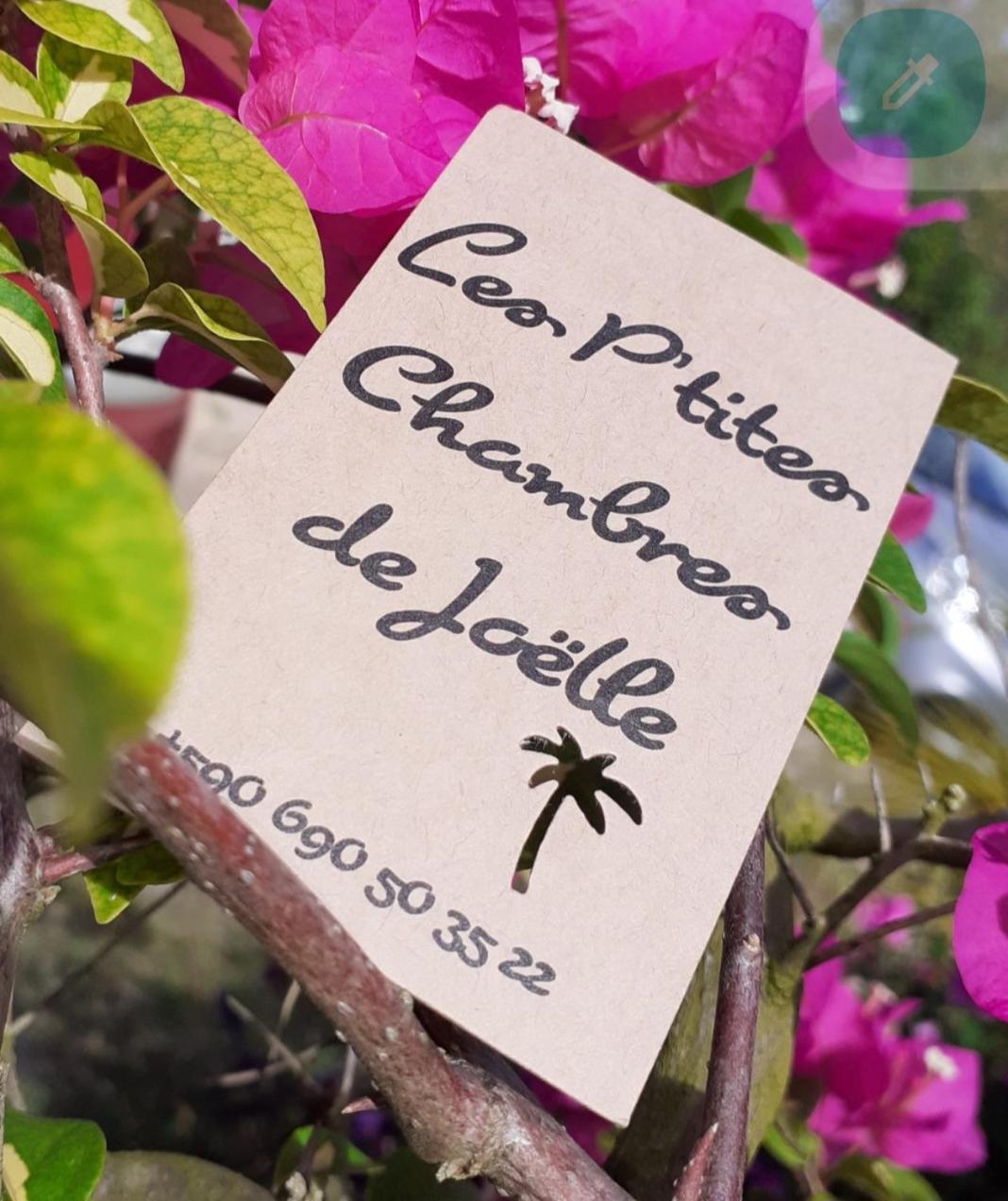 P'tites chambres dans la campagne de Marie Galante
