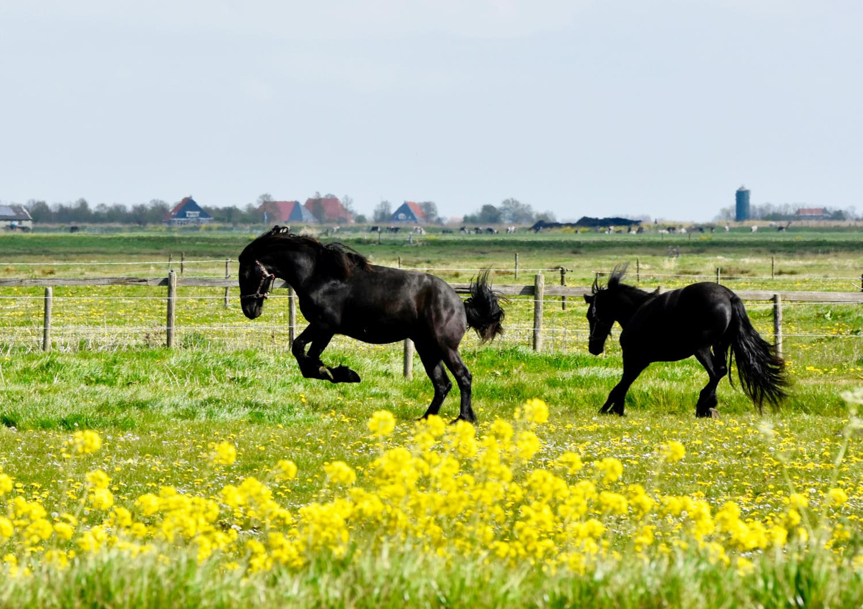 Het Melkhuis op prachtig Landgoed Koepeltjesplaats