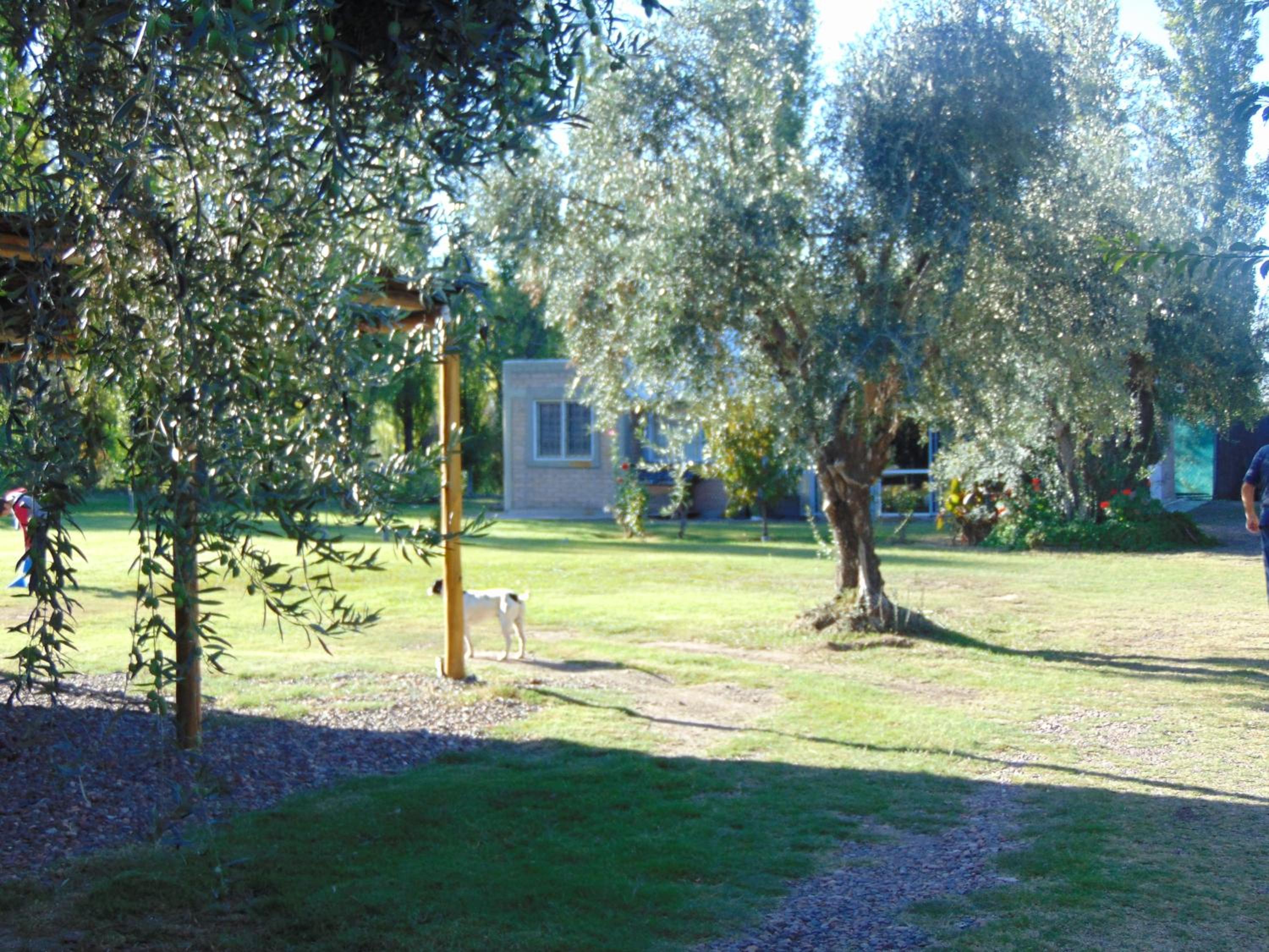 Photo 42
