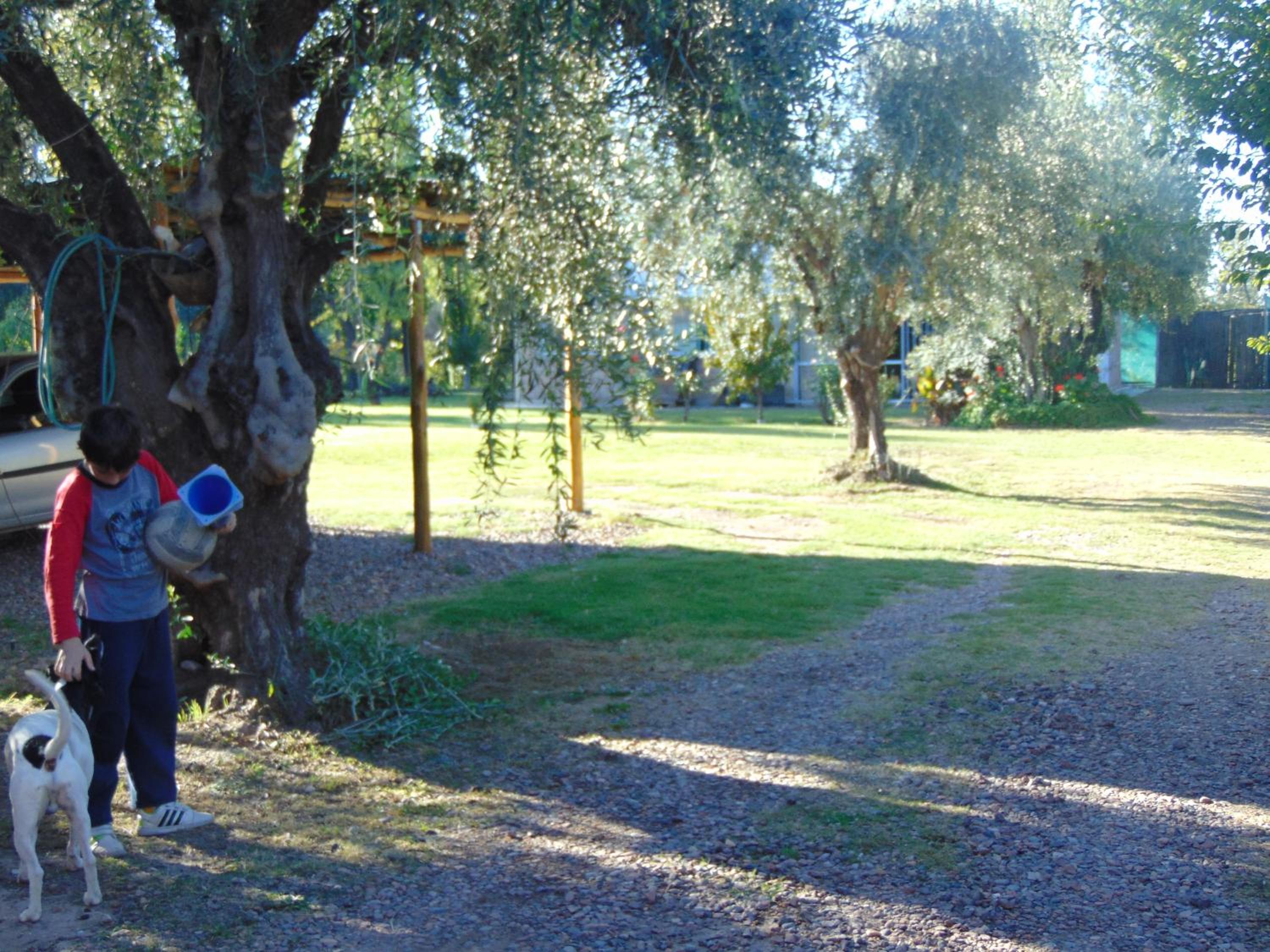 Photo 43