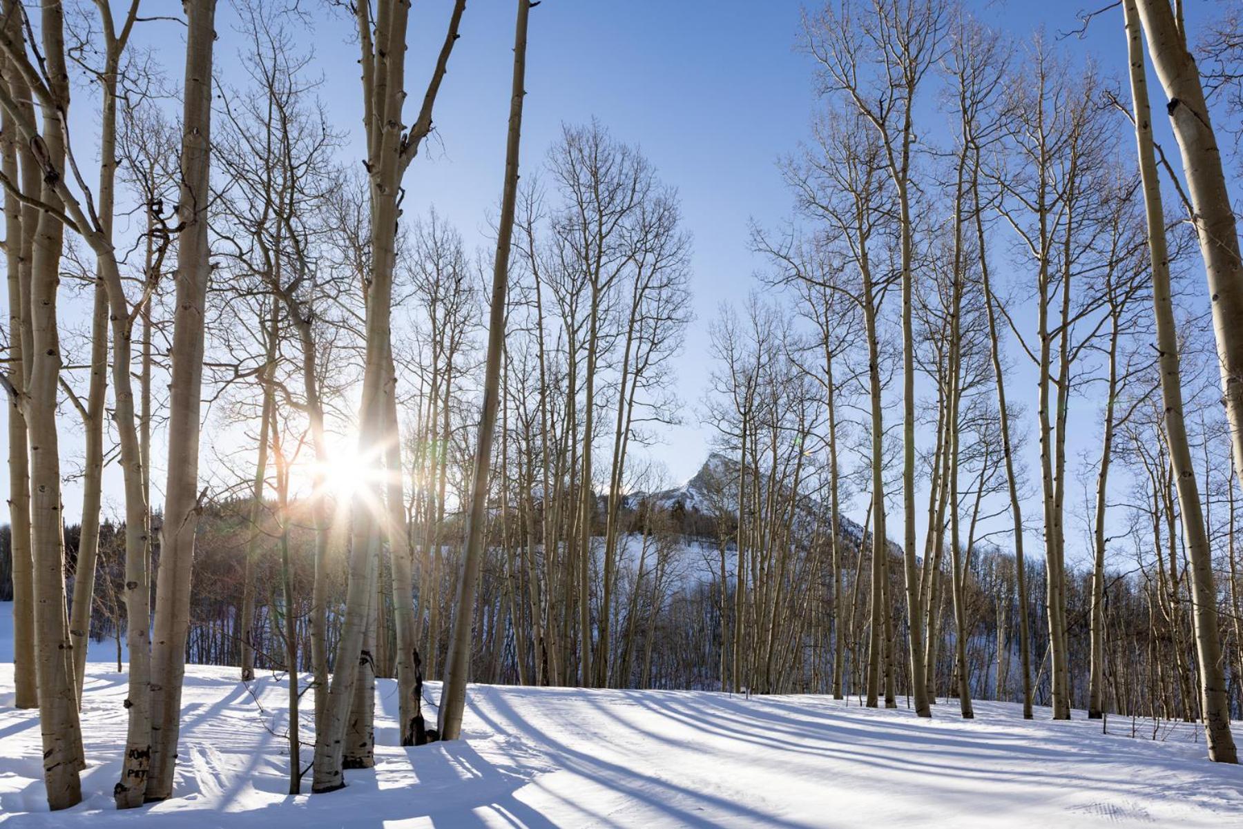 Elevation Hotel  Spa - Property Image 135