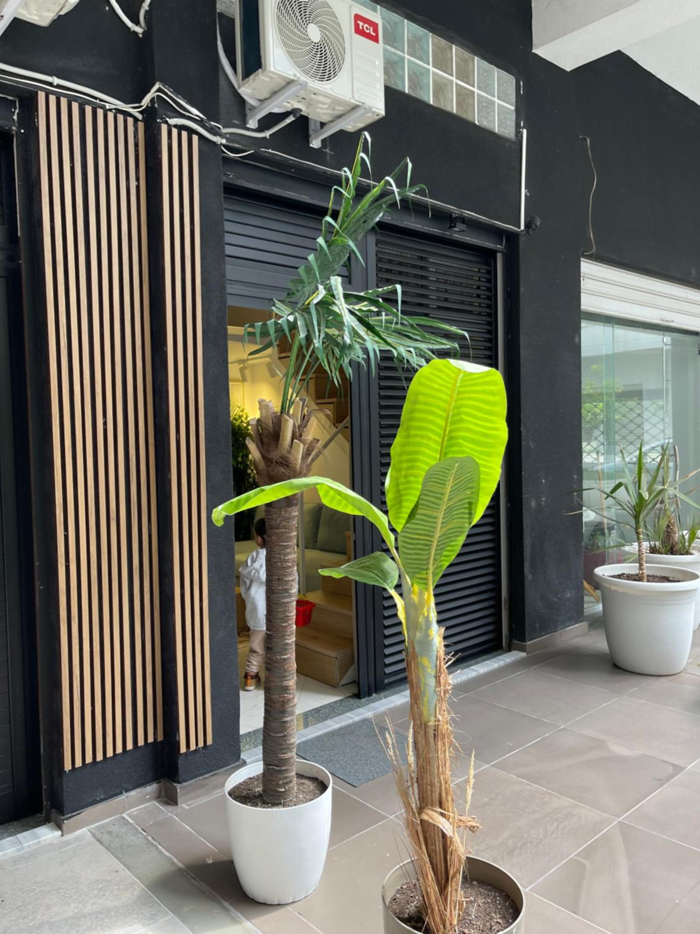 Duplex Lungomare Suites