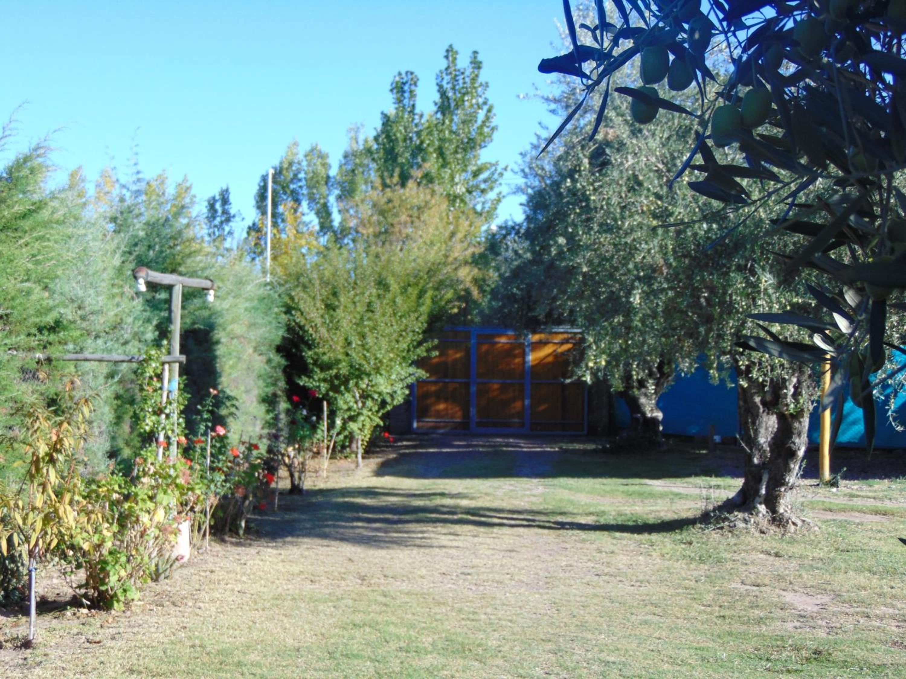 Photo 44