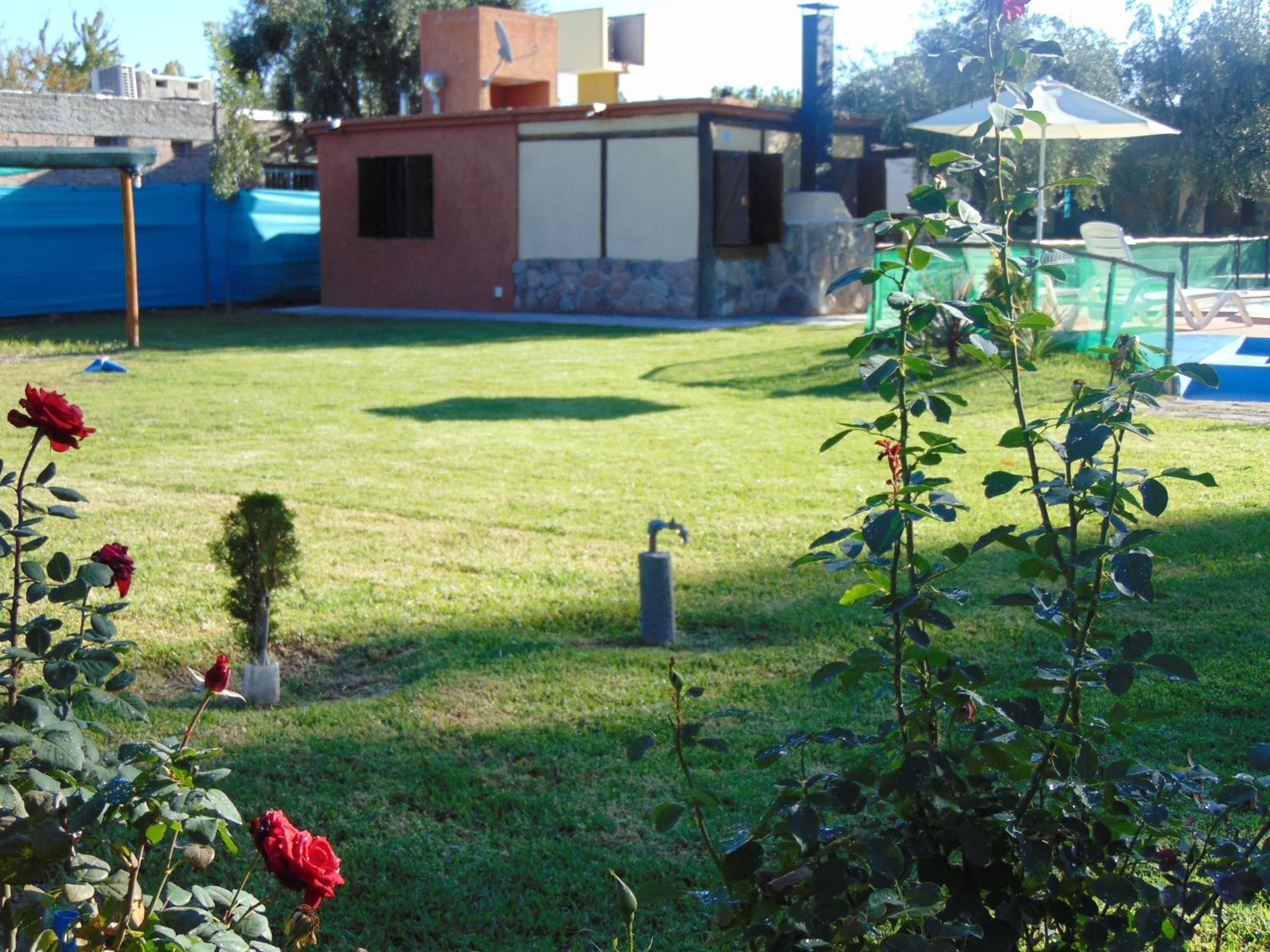 Photo 45