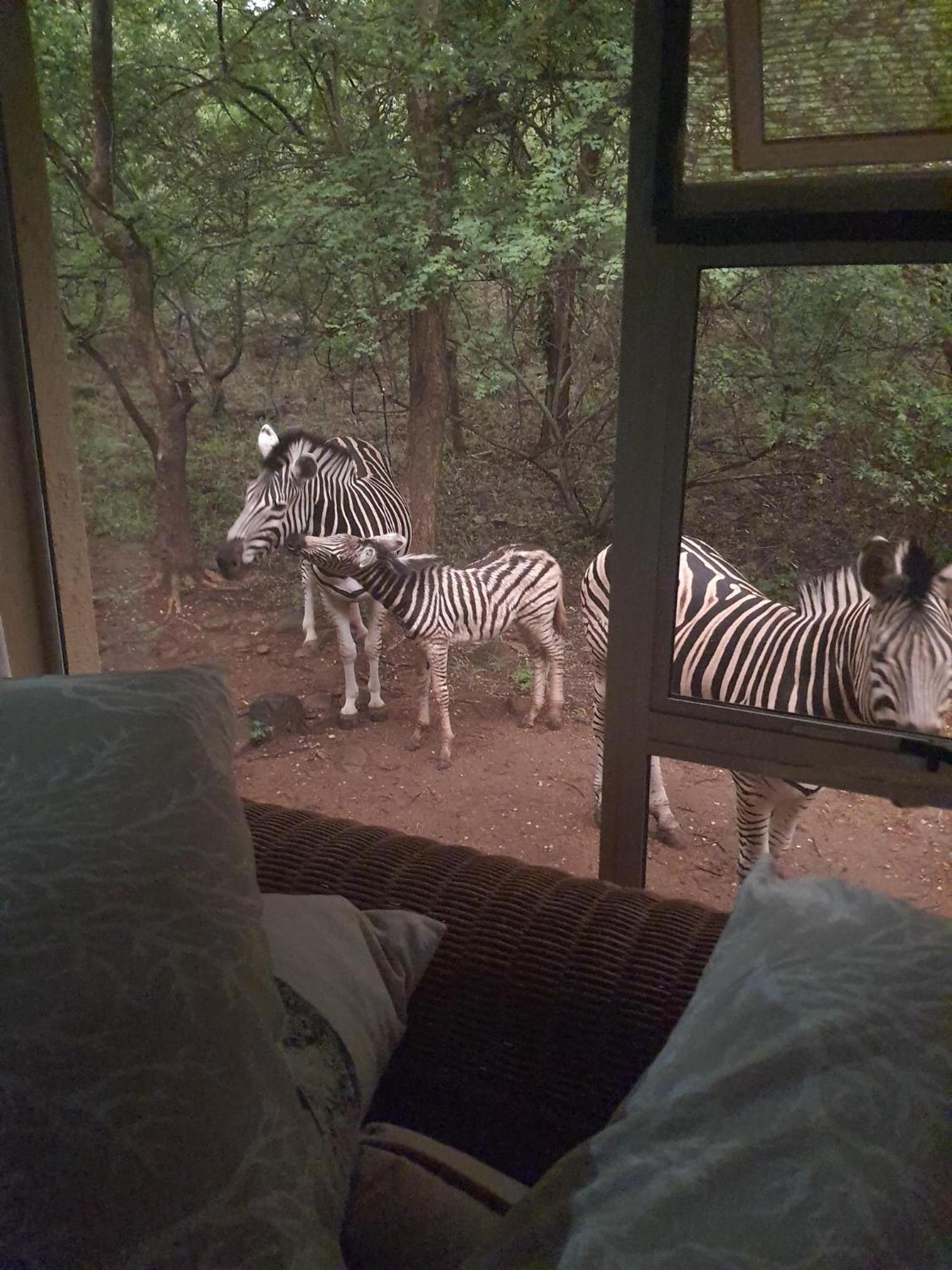 Canyon guest villa view 5