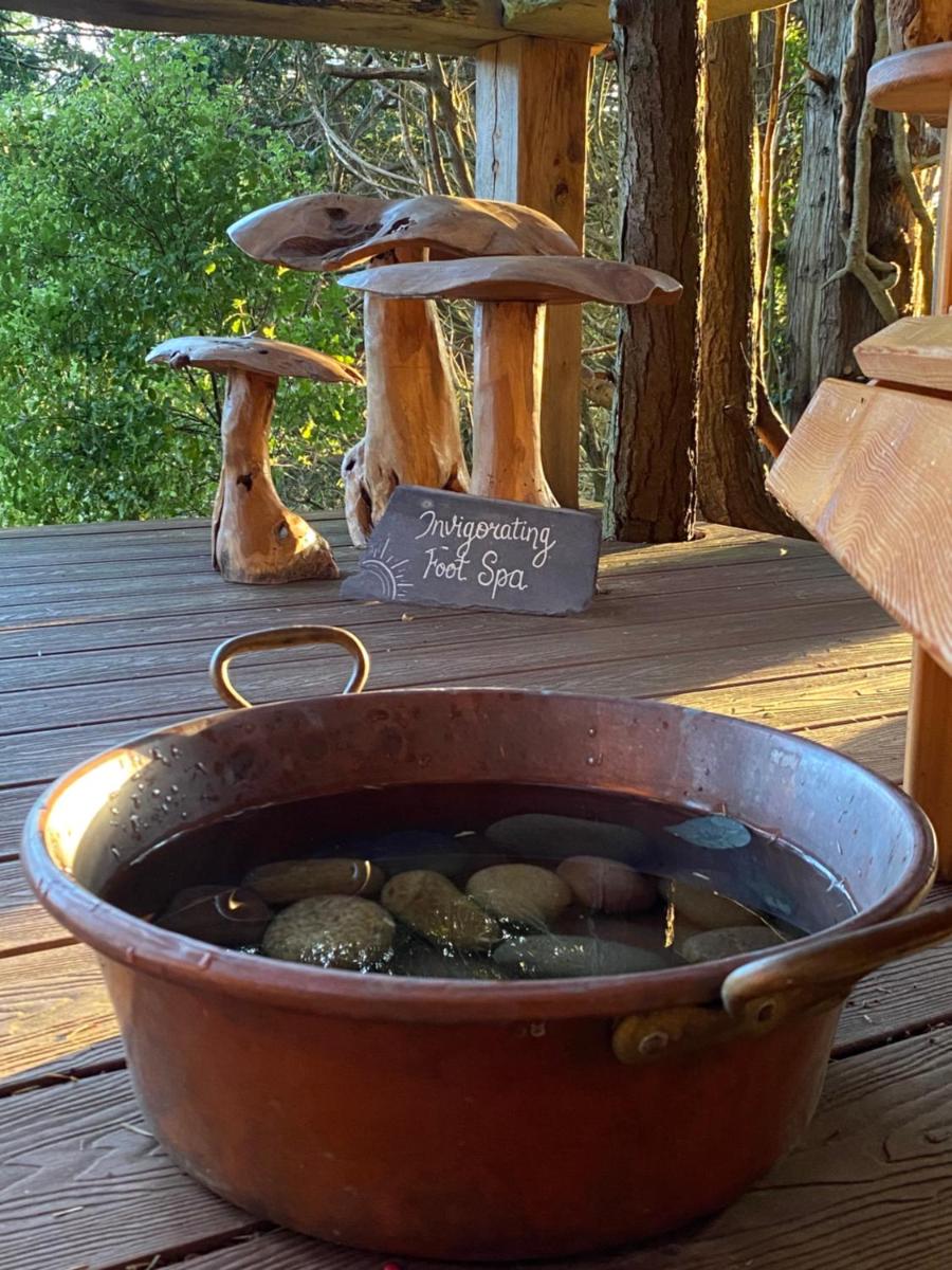 outdoor BBQ area