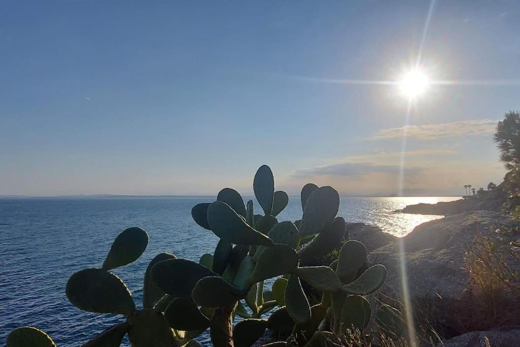Sunsetmare Vacational Apartment