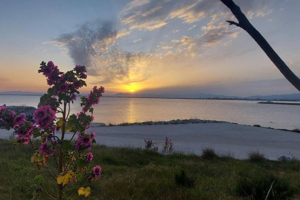 Sunsetmare Vacational Apartment