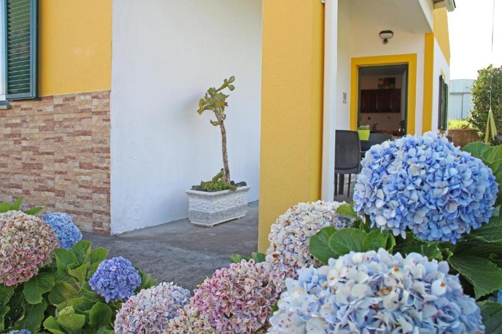 Casas da Boa Vista view 3