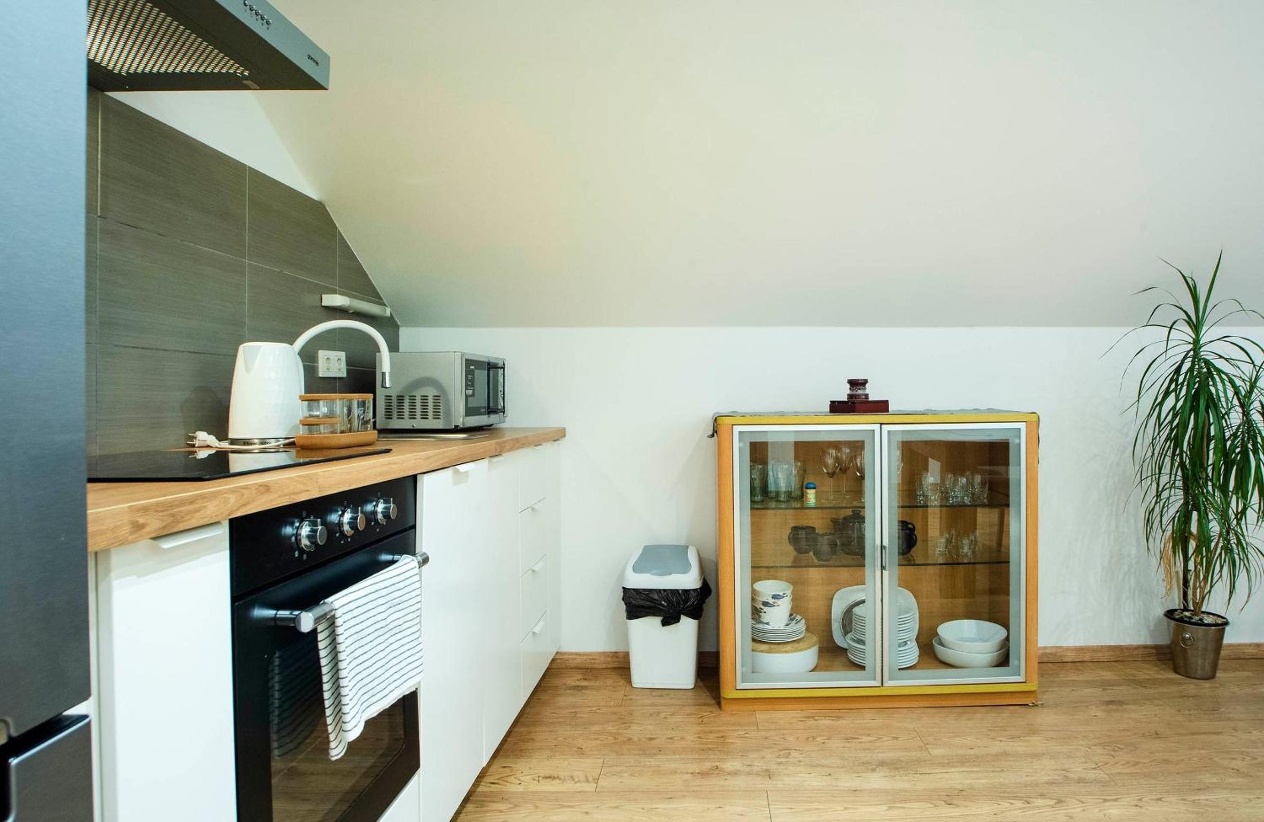 Apartment Roko