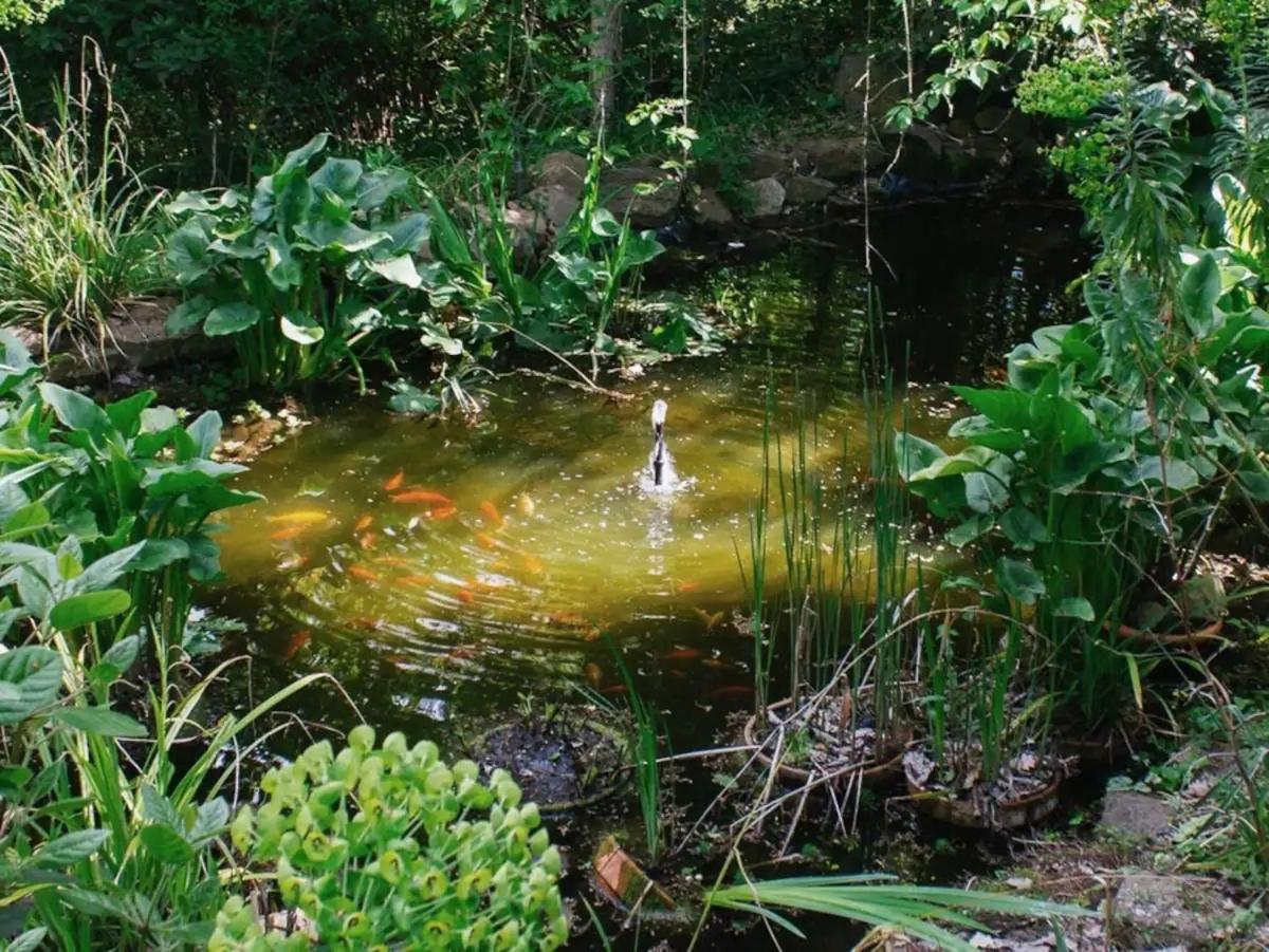 Il Giardorto