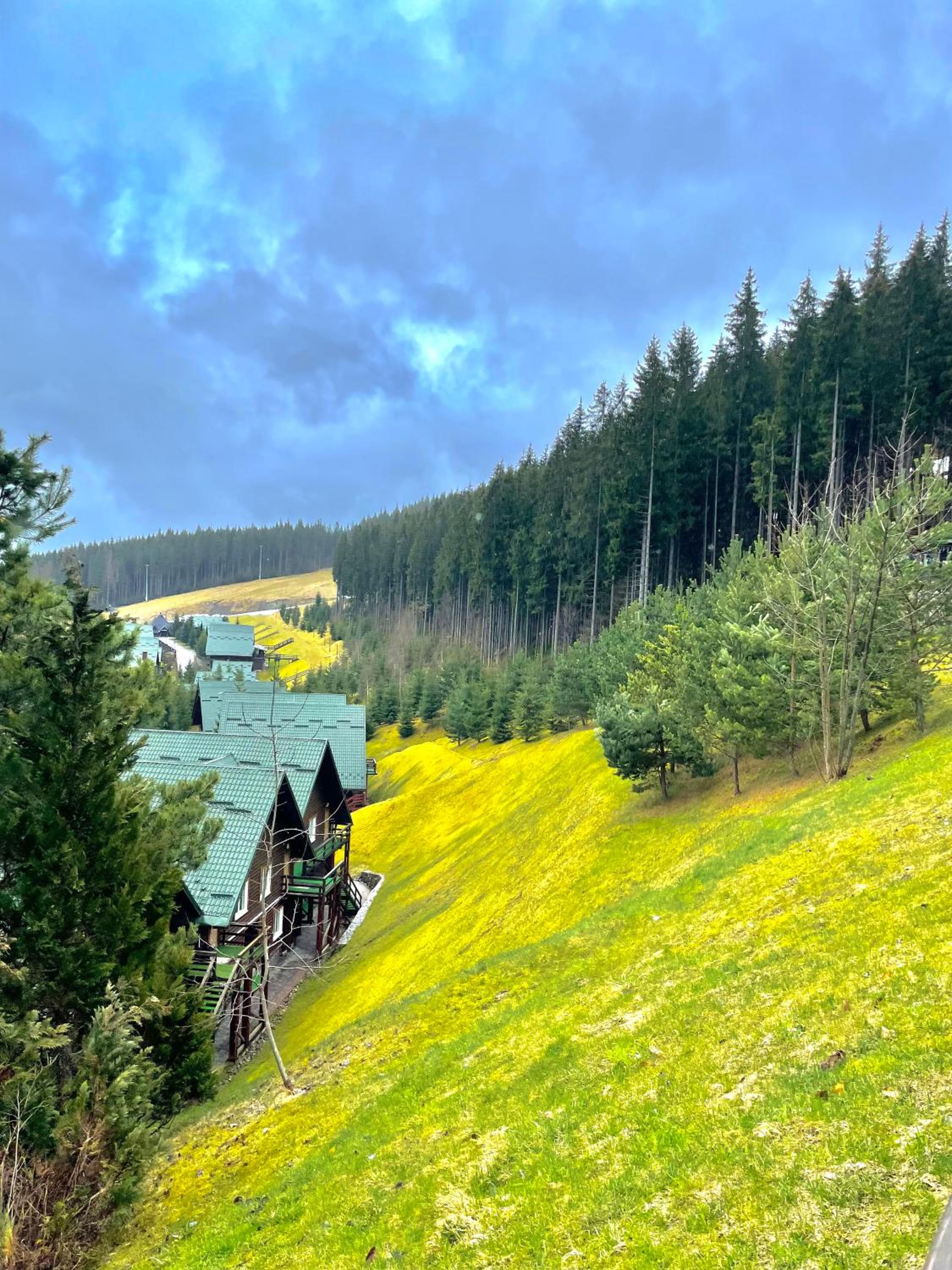 Nordian chalet next to Bukovel ski lift