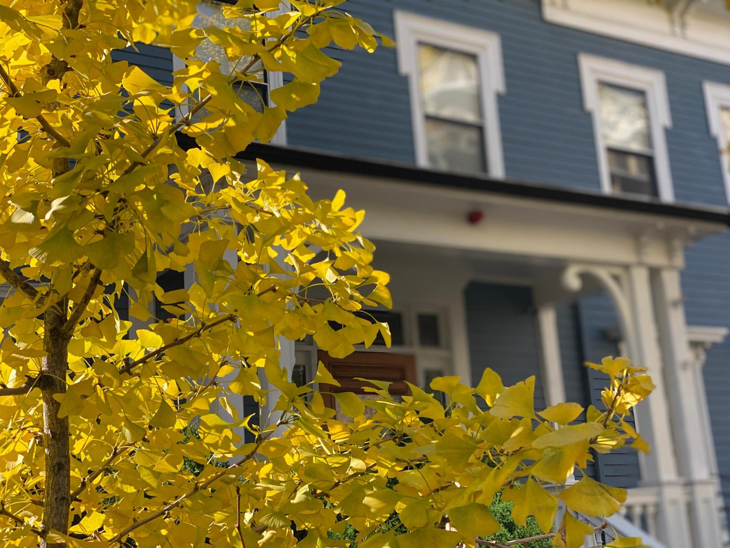 Ginkgo House on Harvard - Property Image 34