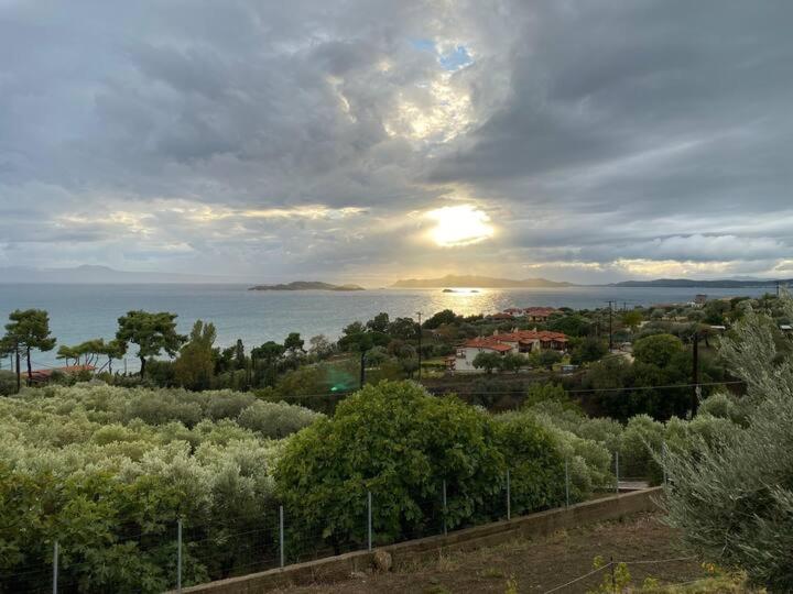 Panorama Drenia