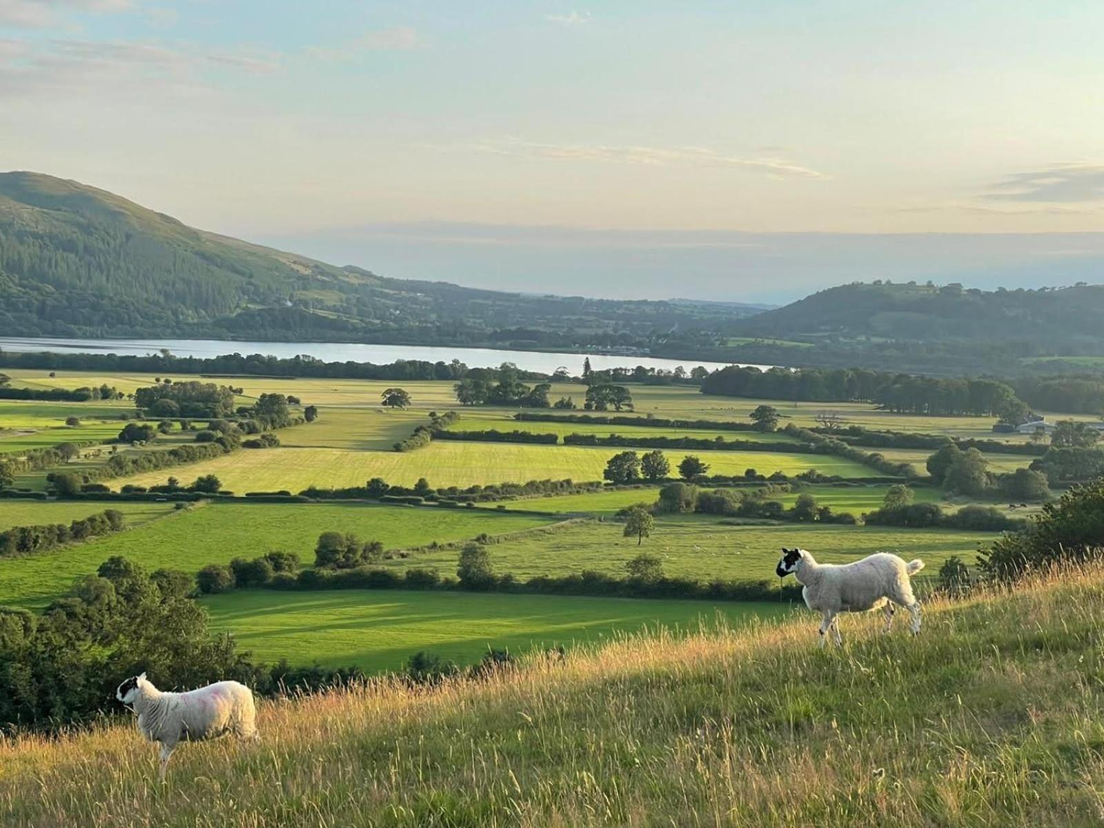 Bassenthwaite Cottage, Bassenthwaite