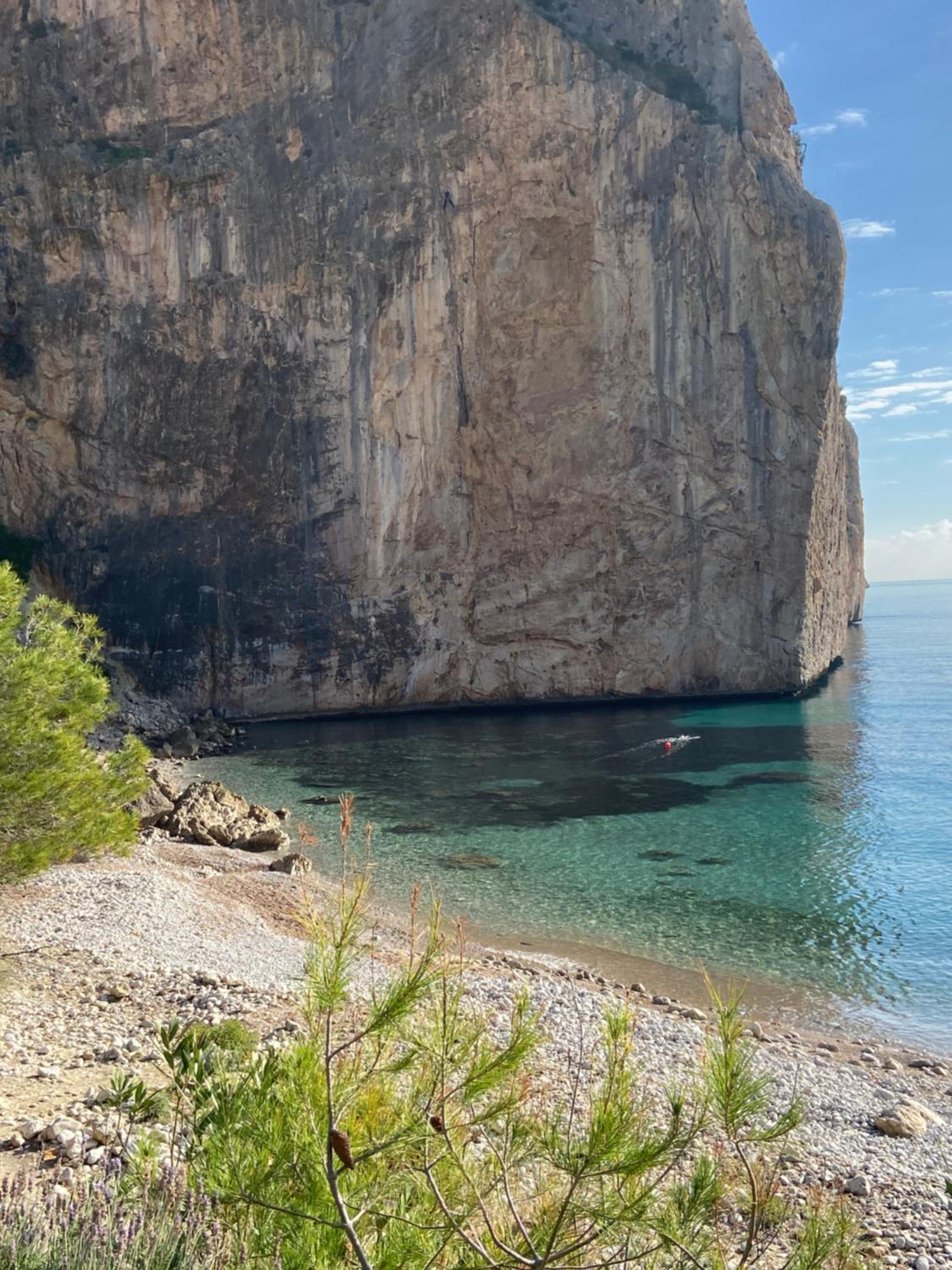 Can Luc Altea