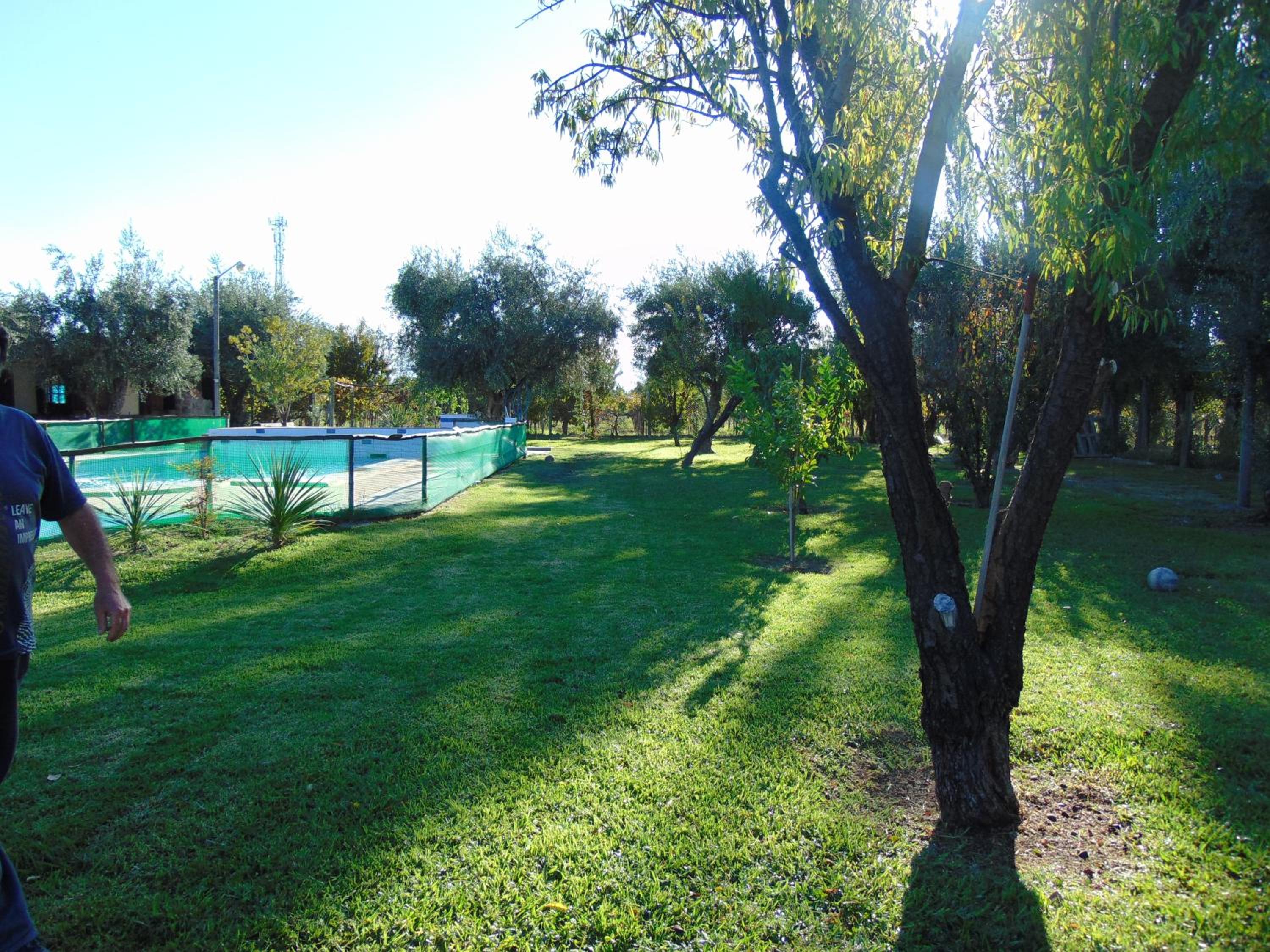 Photo 46