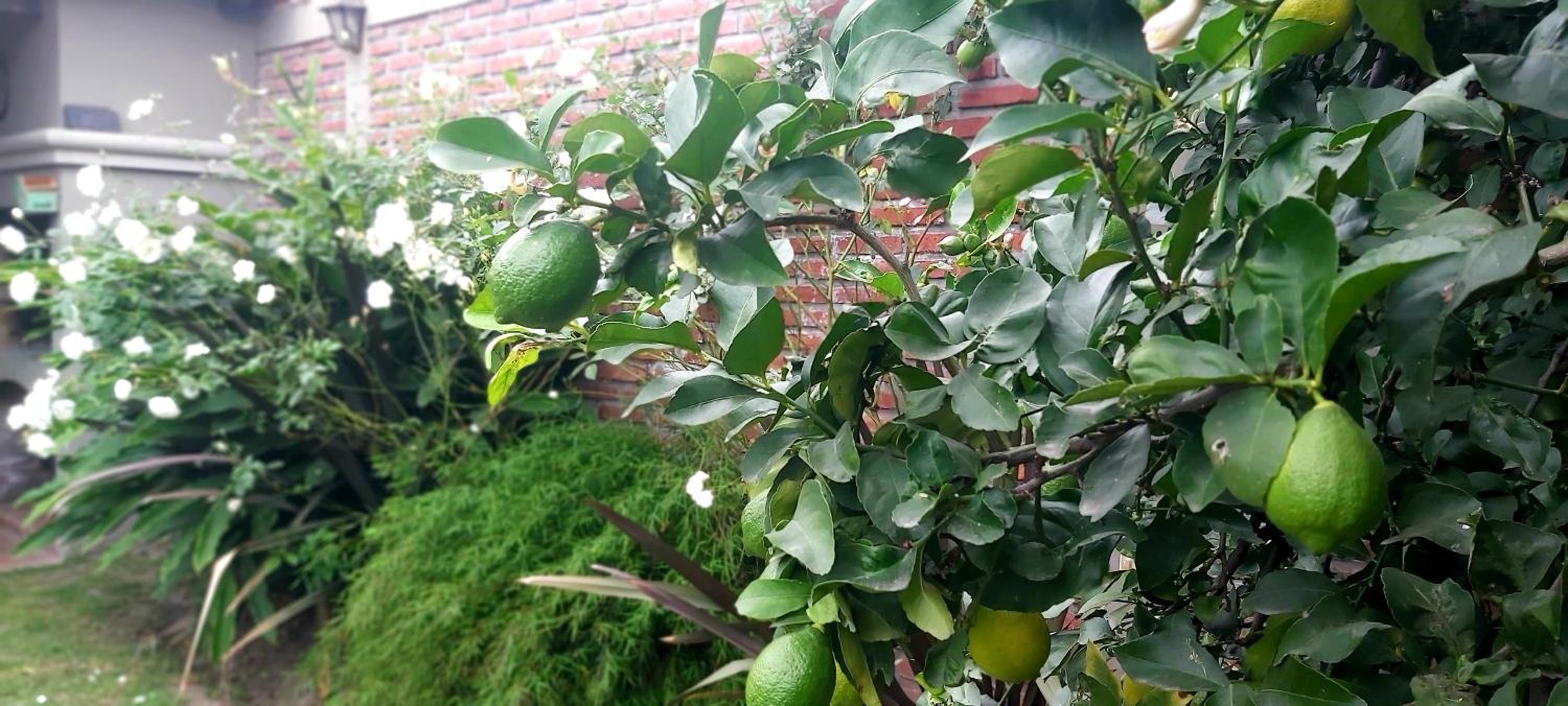 Hermosa y cómoda Casa - El Limonero