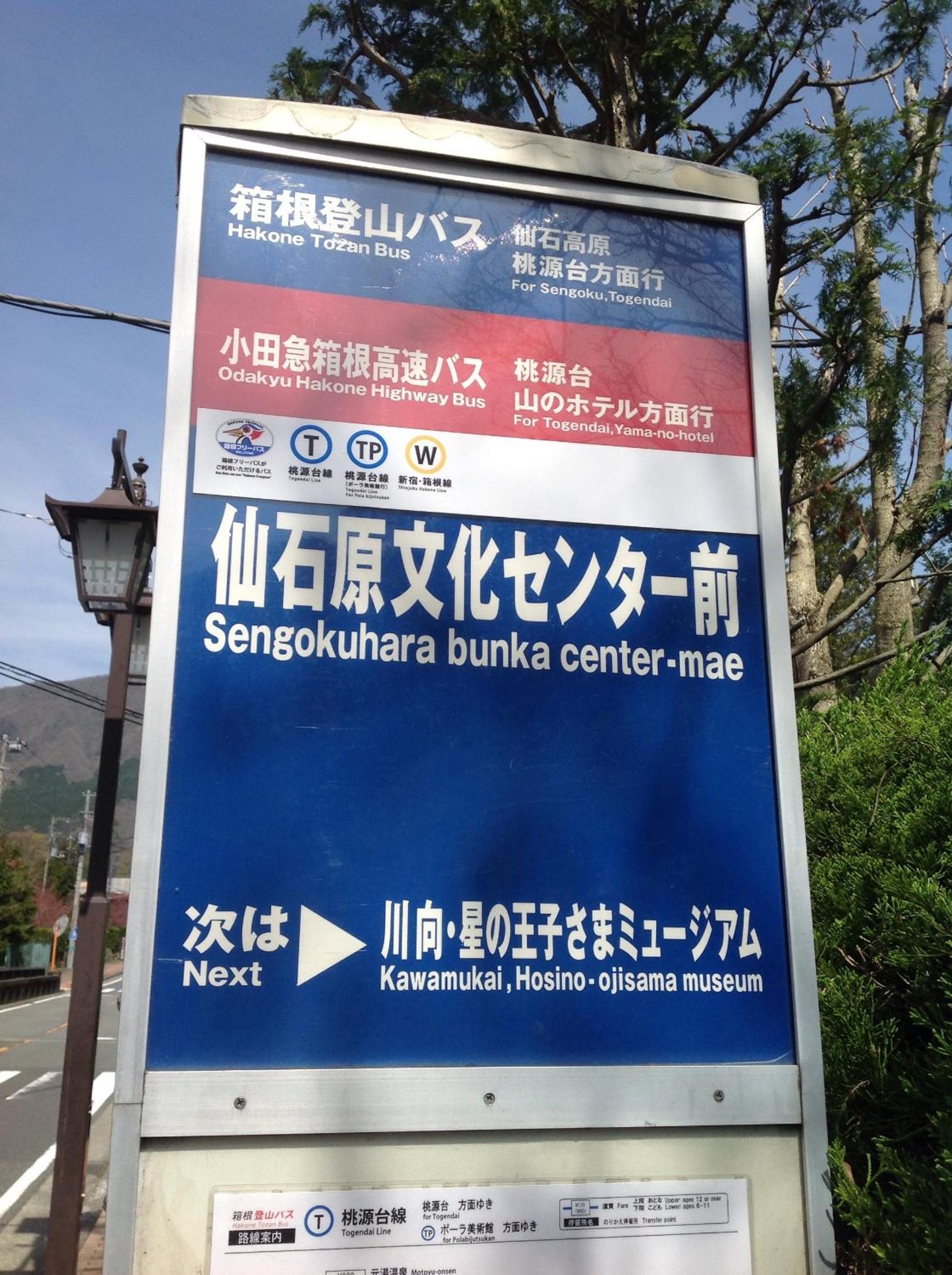 Mount View Hakone