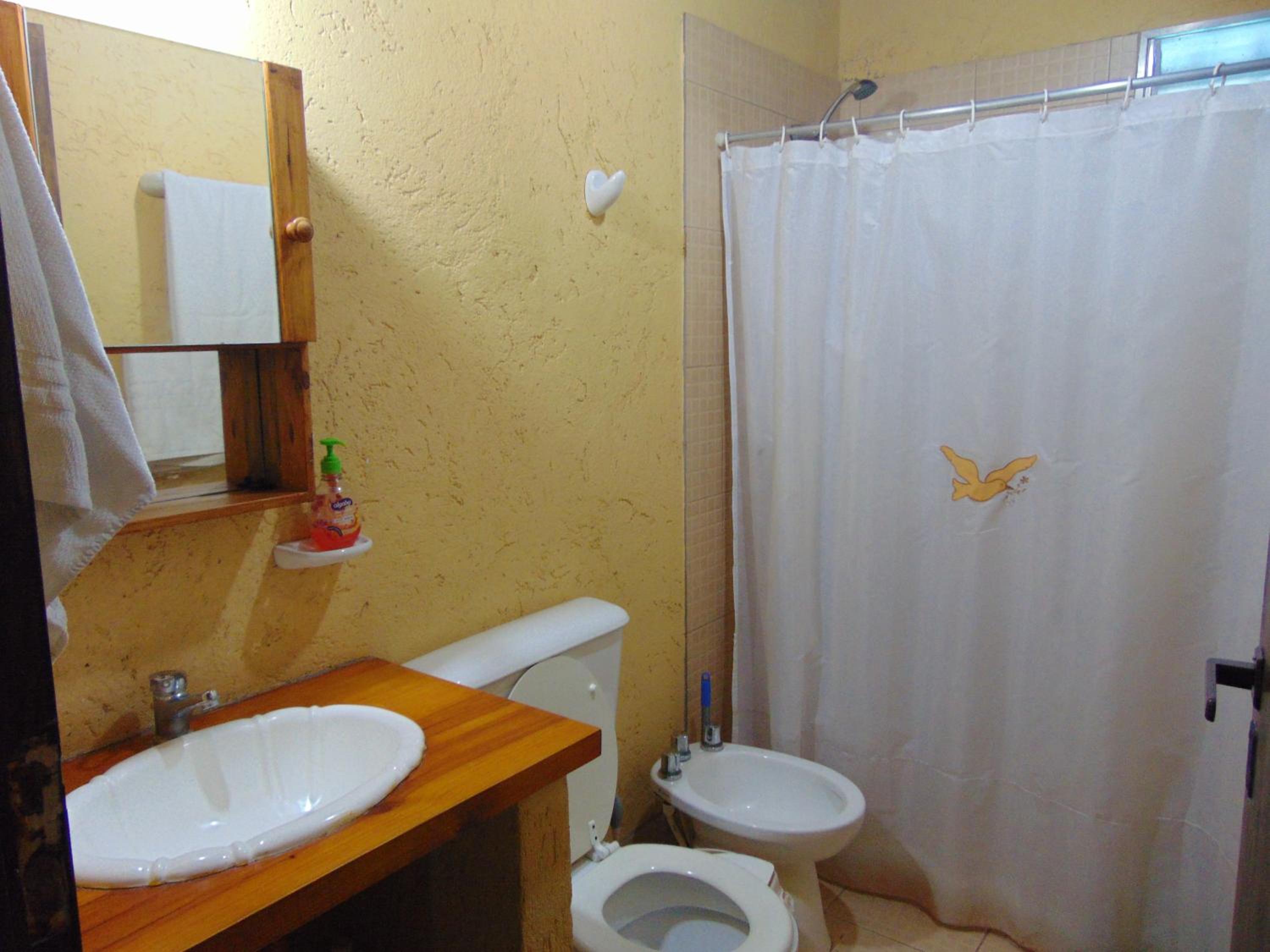 Photo 50