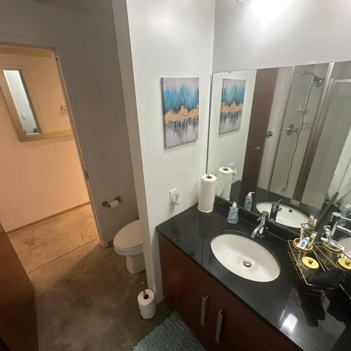 Luxury Cozy Loft Downtown STL view 3