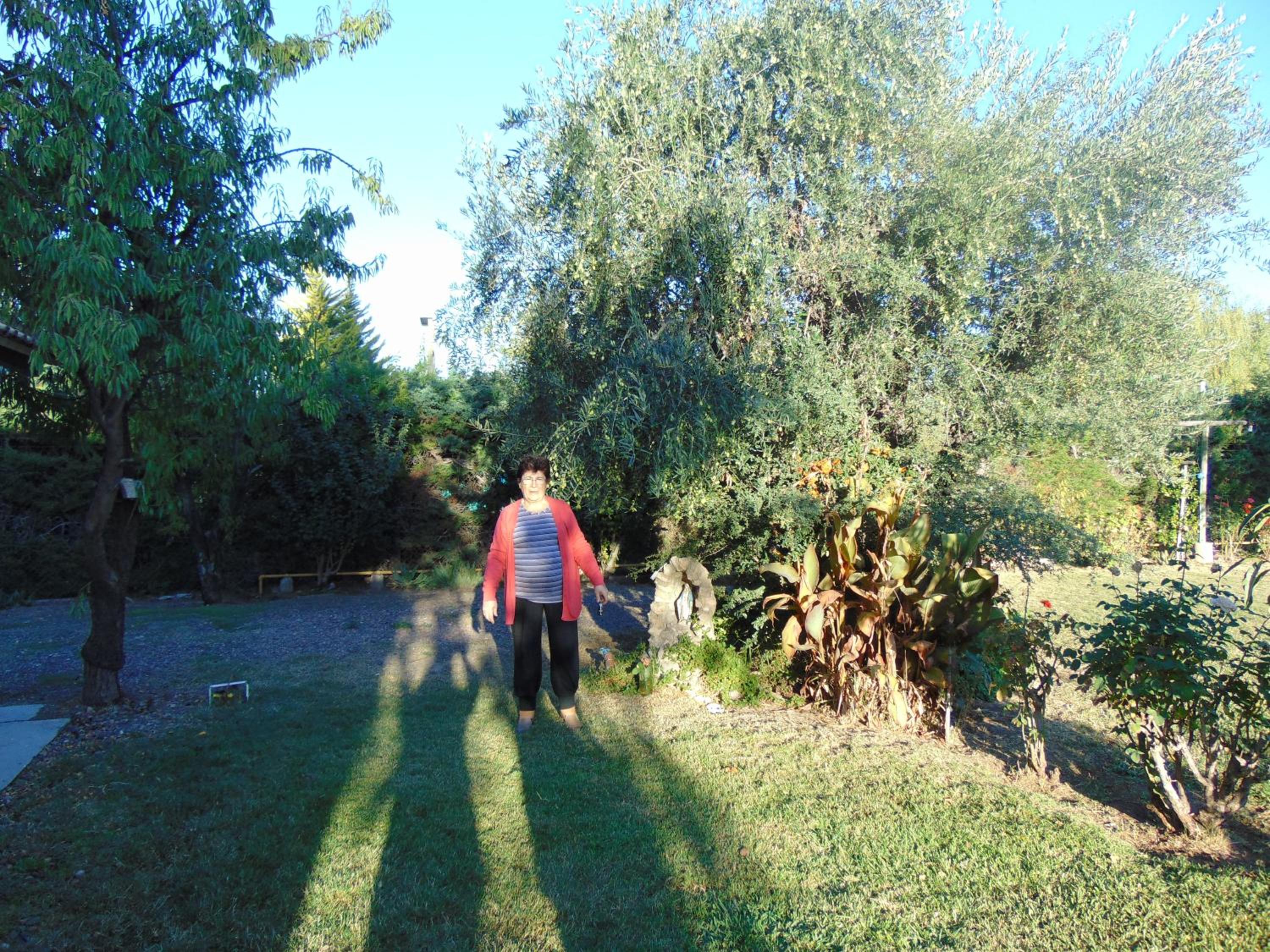 Photo 40
