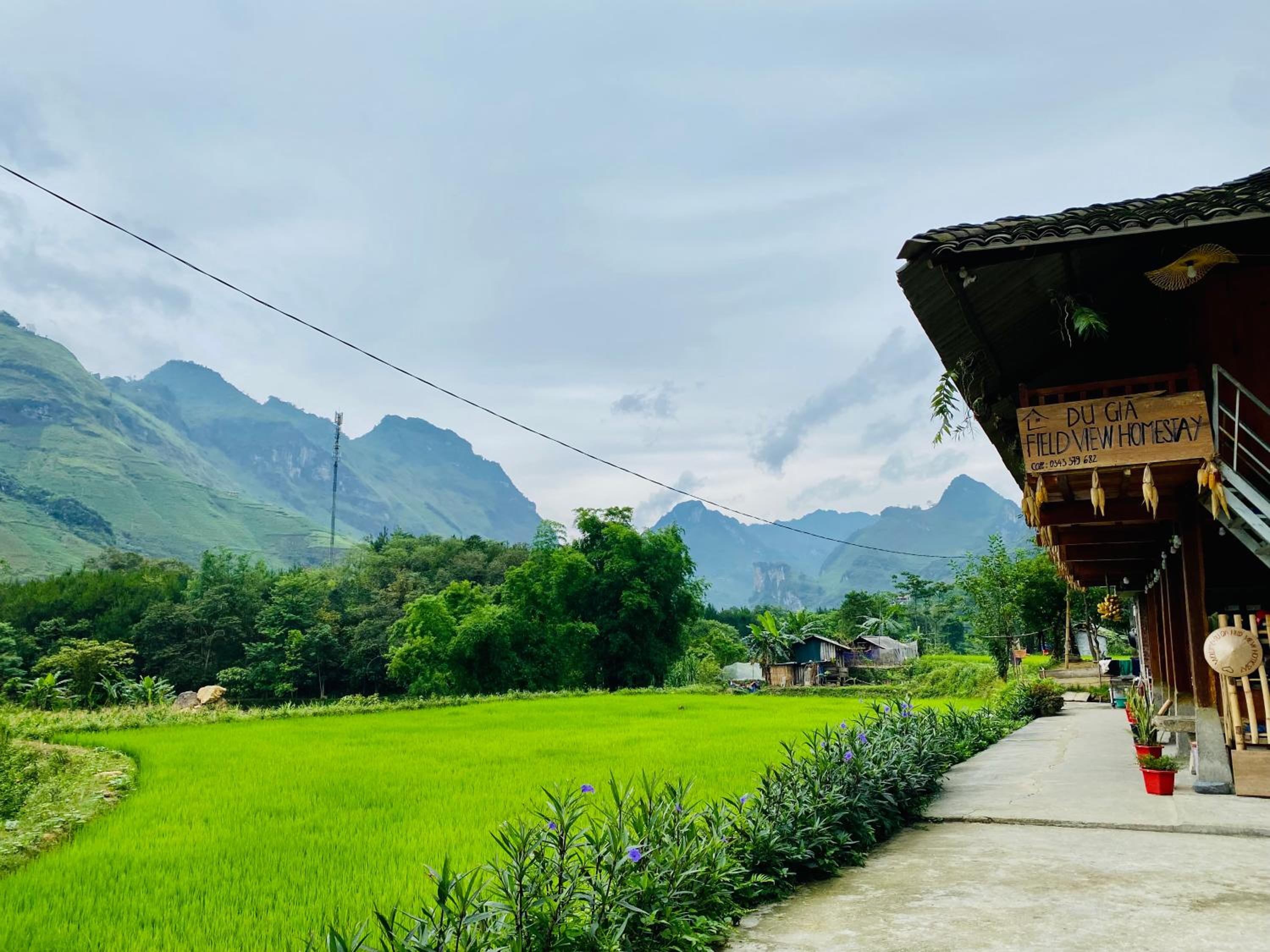 Du Gia Field View Homestay