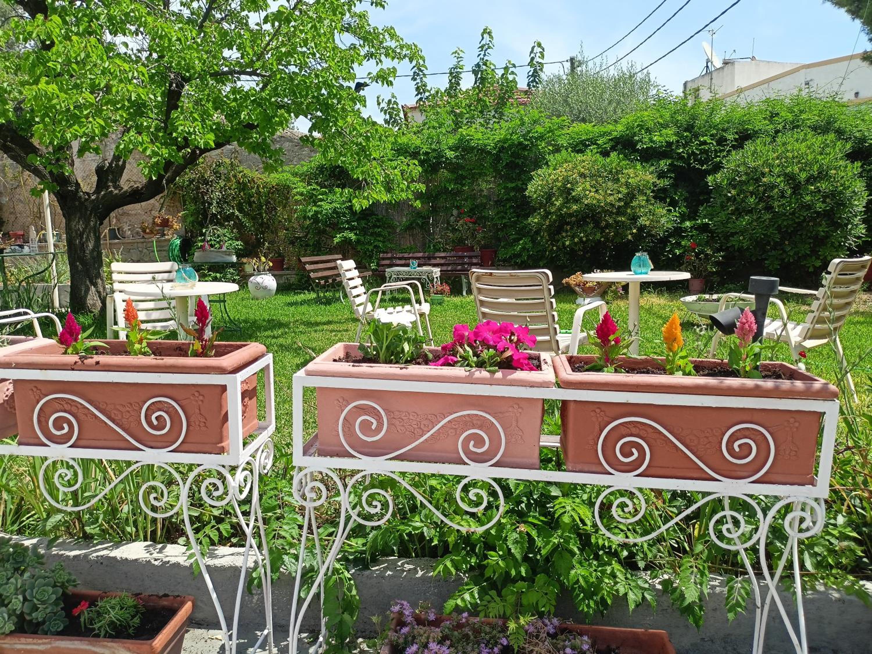garden