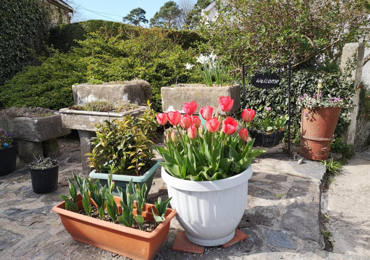 Old Vicarage Cottage