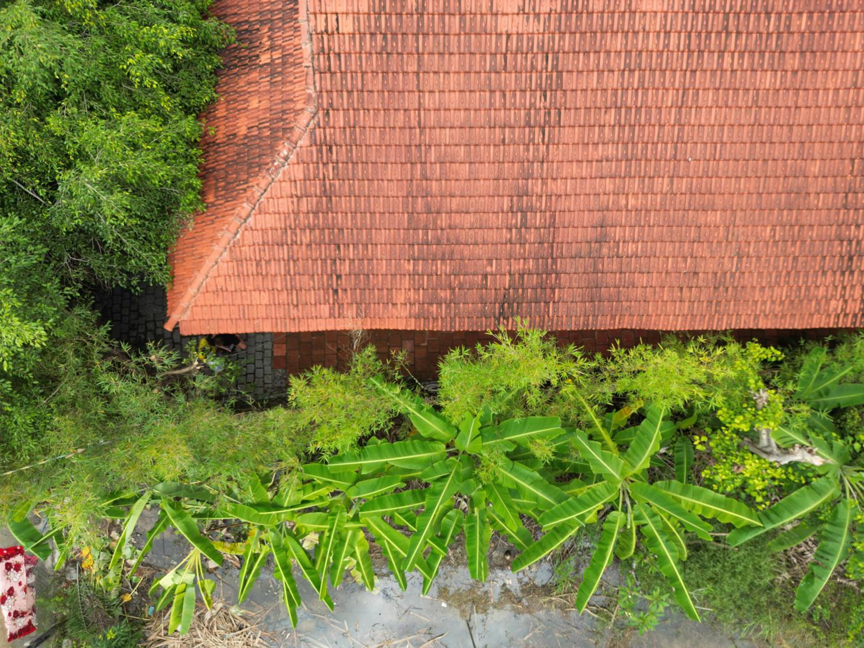 Banyan Villa Nha Trang