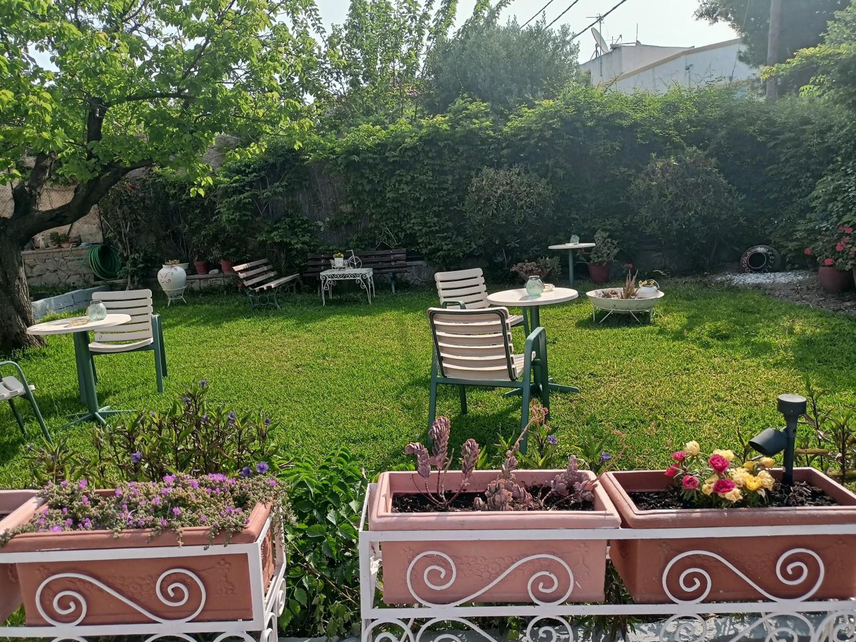 garden