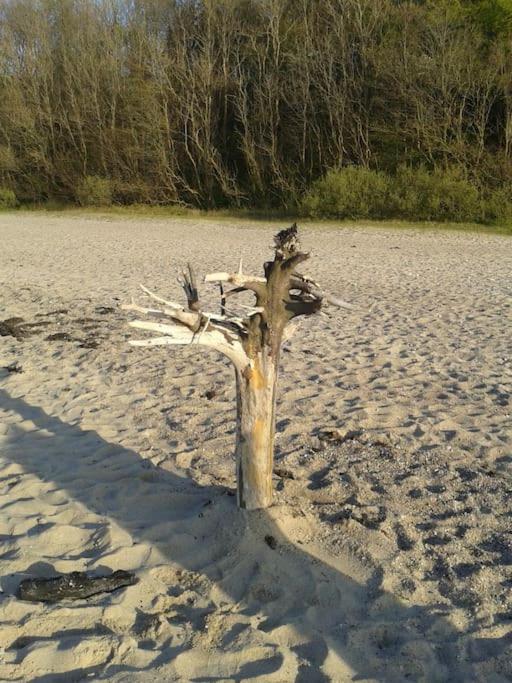 Strand & Garten